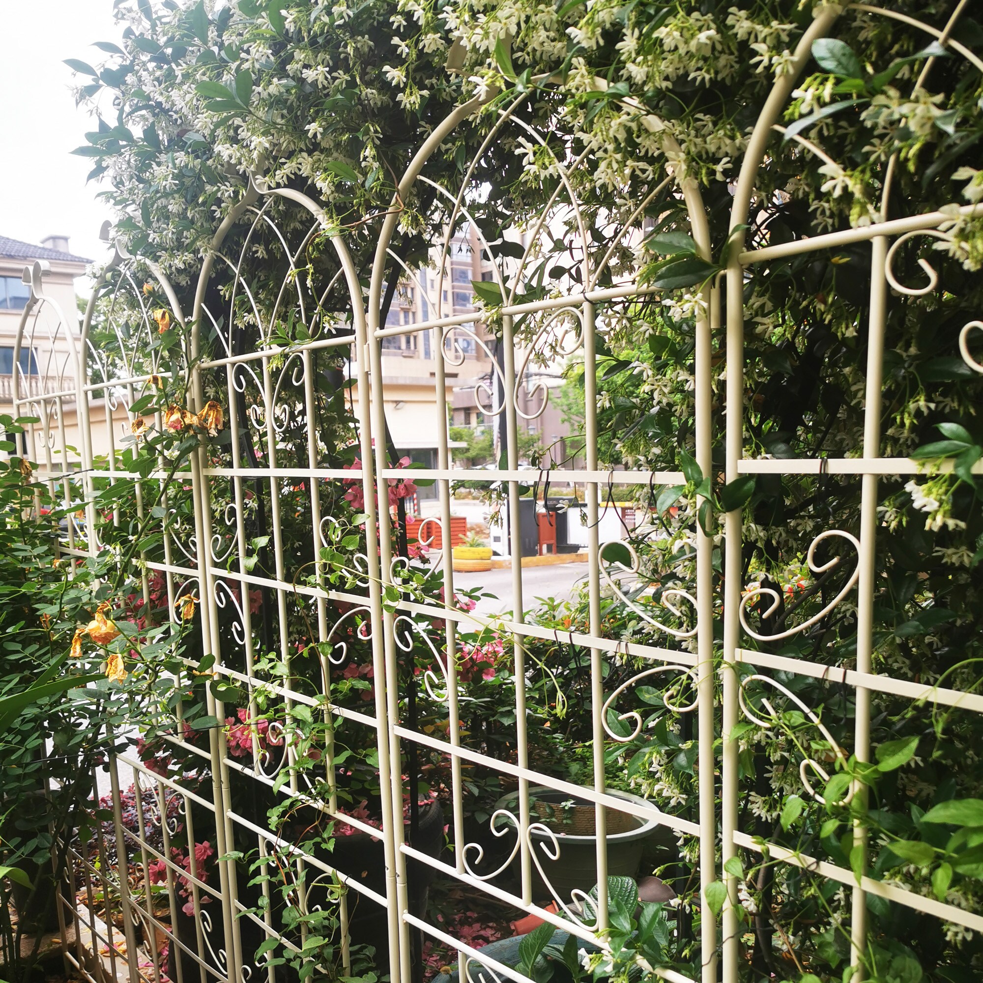 Wooakway FXLS0609-604A168 Garden-Trellis - View #3