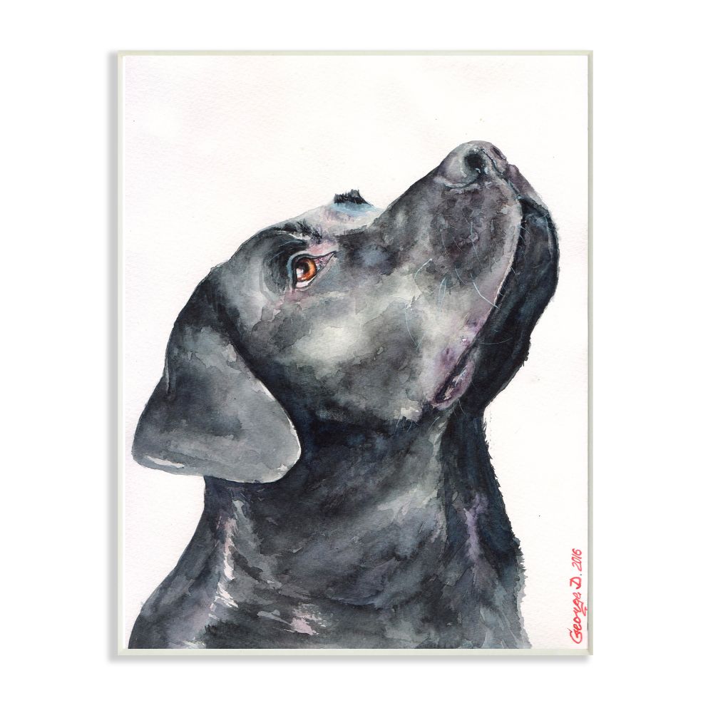 Empire Art Direct Weimaraner Black and White Pet Paintings on