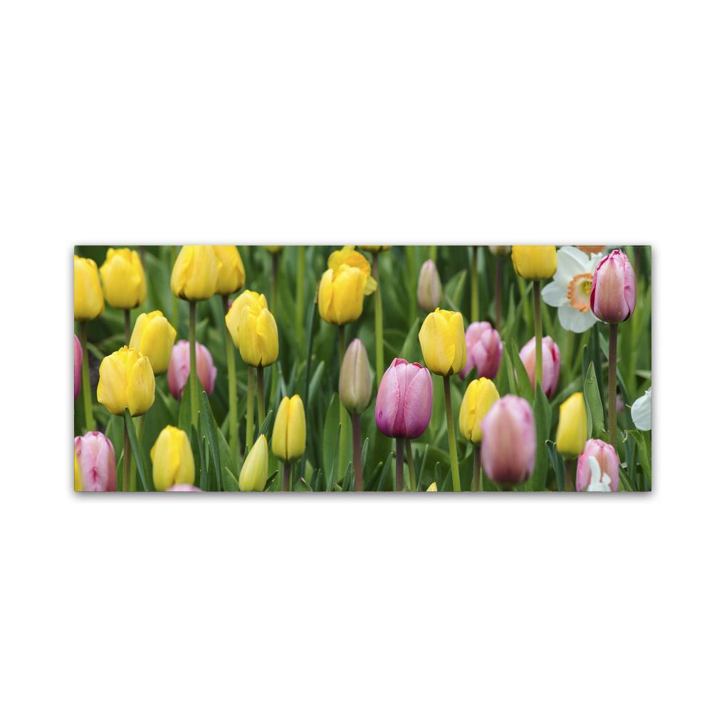 Trademark Fine Art KS01110-C1024GG Framed 10-in H x 24-in W Botanical Print on Canvas