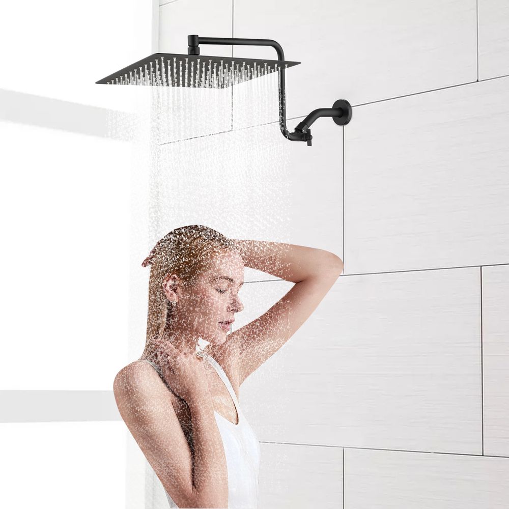 Blisstyle SHWR243 Fixed-Showerhead - View #2