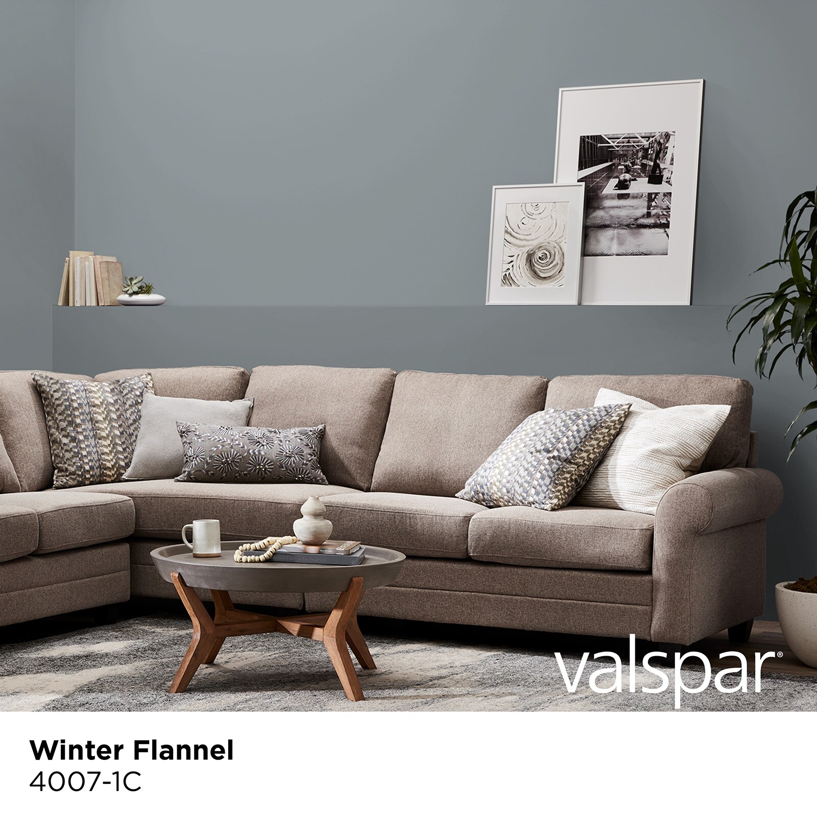 Valspar 4007-1C-935295 Int-Ext-Paint - View #2
