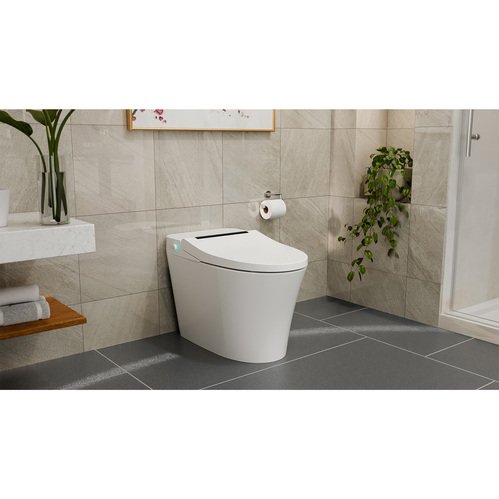 DreamLine TL31X152700 bidets - View #4