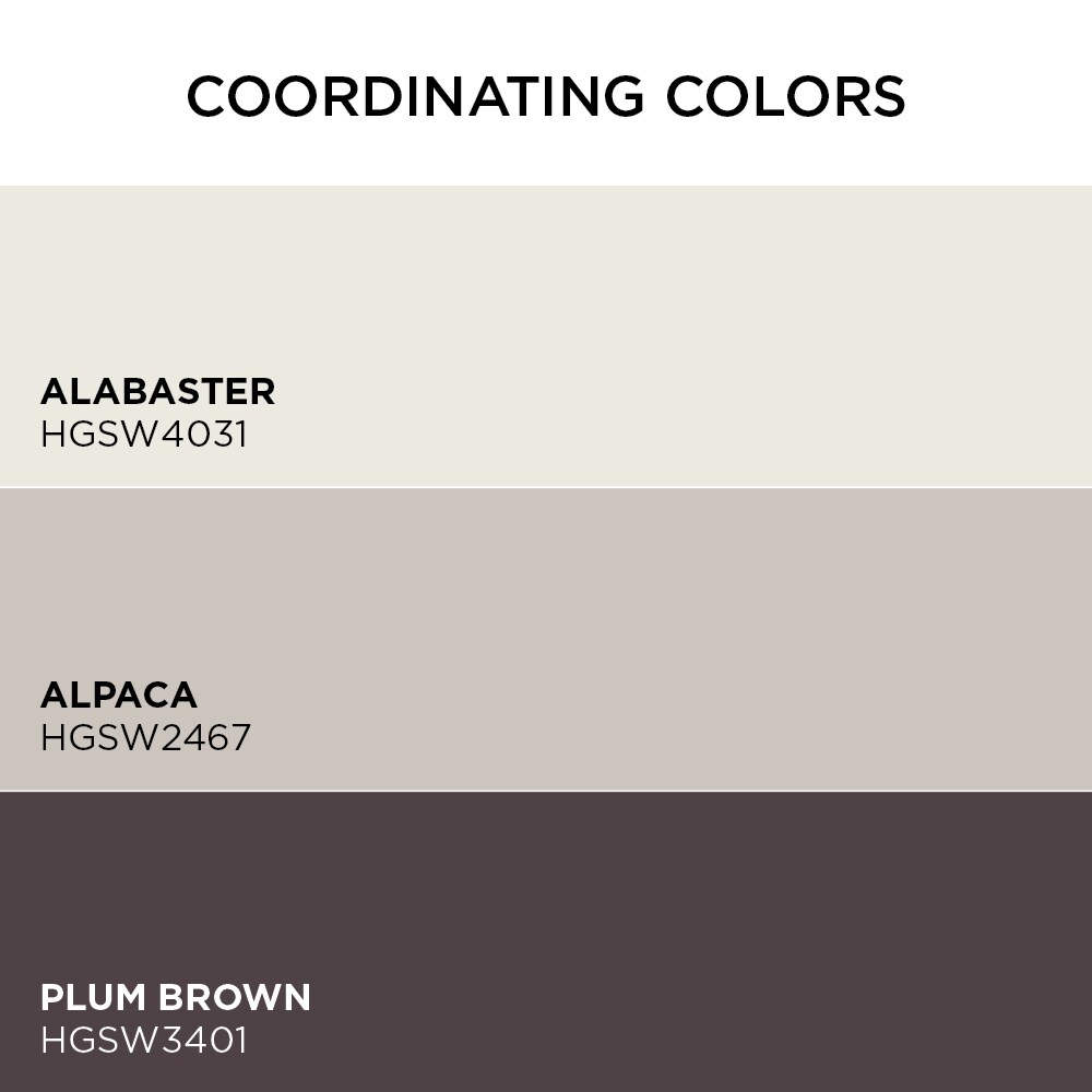 Valspar HGSW2176-2636588 Int-Ext-Paint - View #4