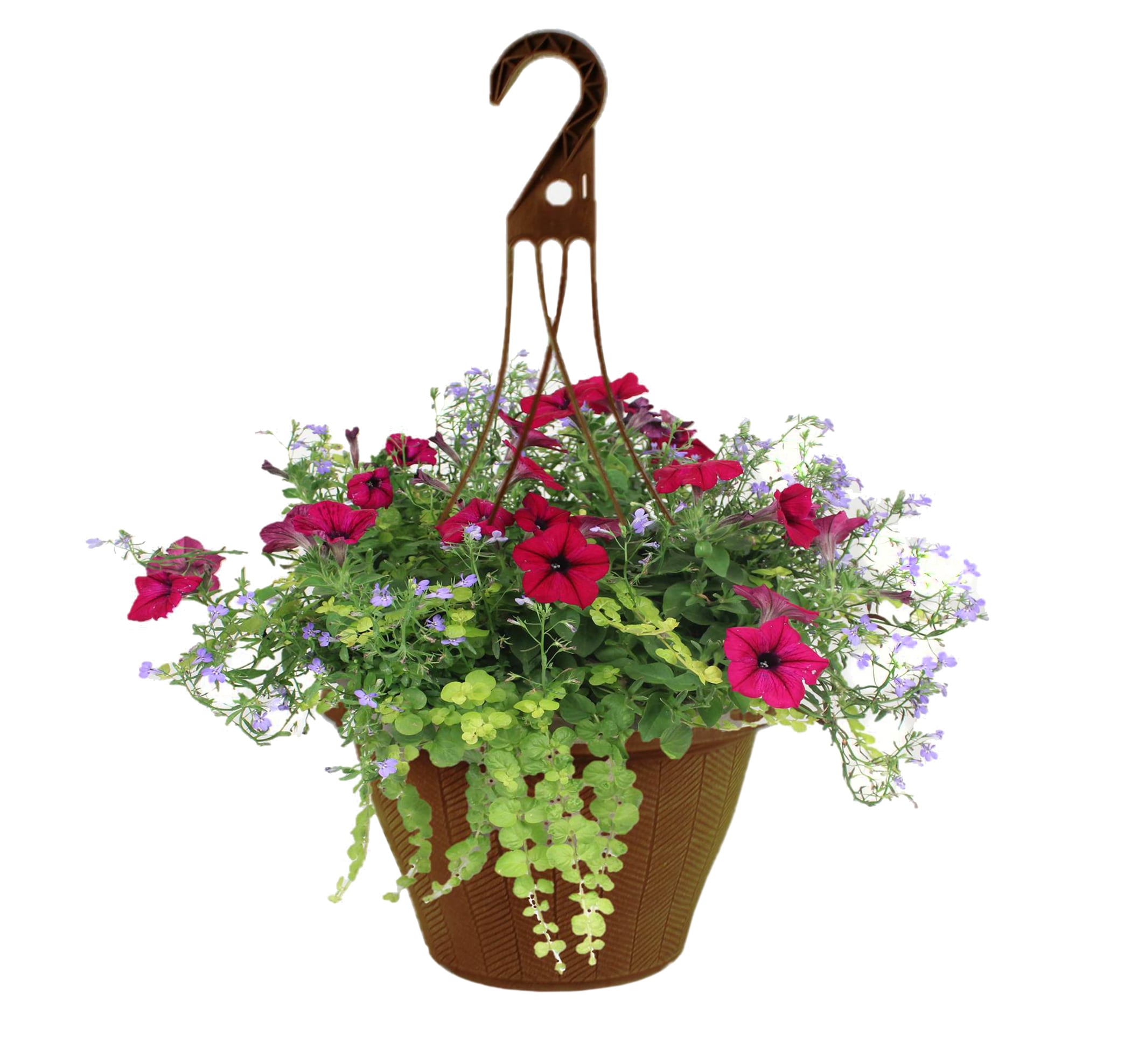 Lowe's NURSERY Multicolor Mixed Annuals Combinations in 2.17 Gallon(s) Planter