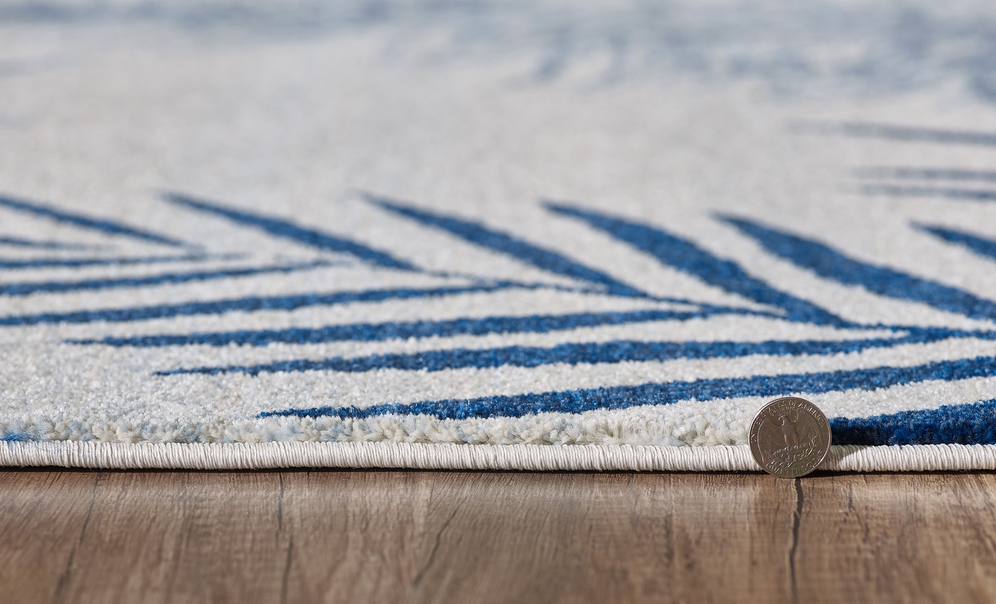 Everyday Woven EVE626653X77 rugs - View #6
