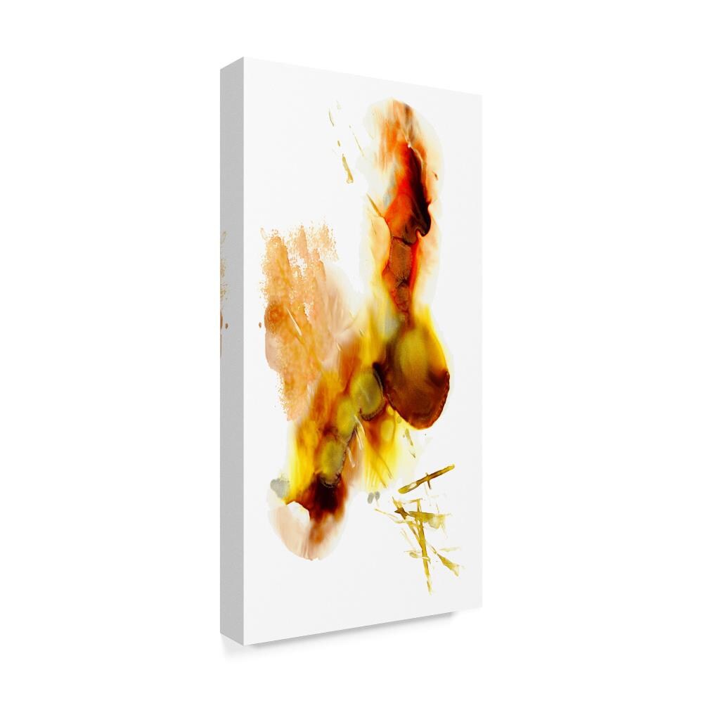 Trademark Fine Art MA00965-C1632GG Wall-Art - View #2