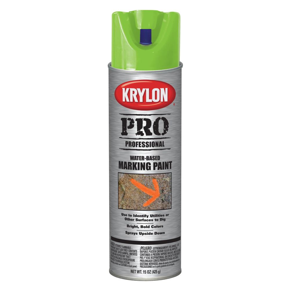 Krylon Specialty High-Gloss Silver Mirror Spray Paint (NET WT. 6-oz)