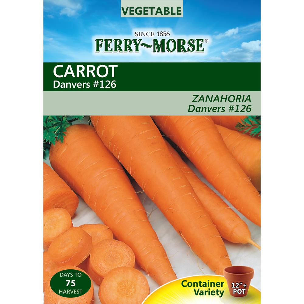 Ferry-Morse 472254.159.461524 2.25-Gram Carrot Danvers #126 (L0000)
