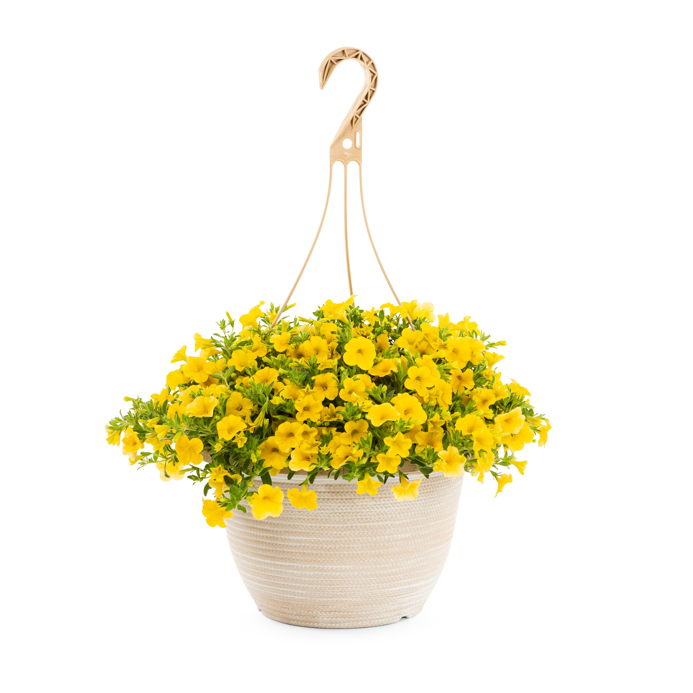 Lowe's 411865 annuals - View #5