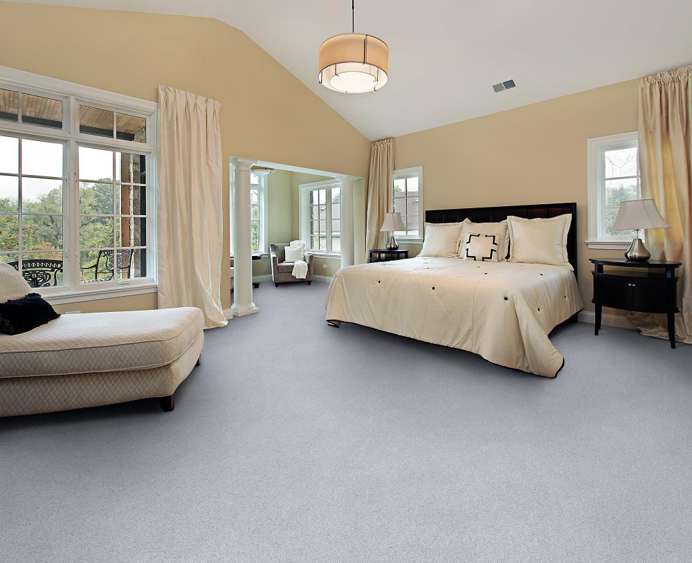 STAINMASTER DL005-316 Carpet-Panel - View #2