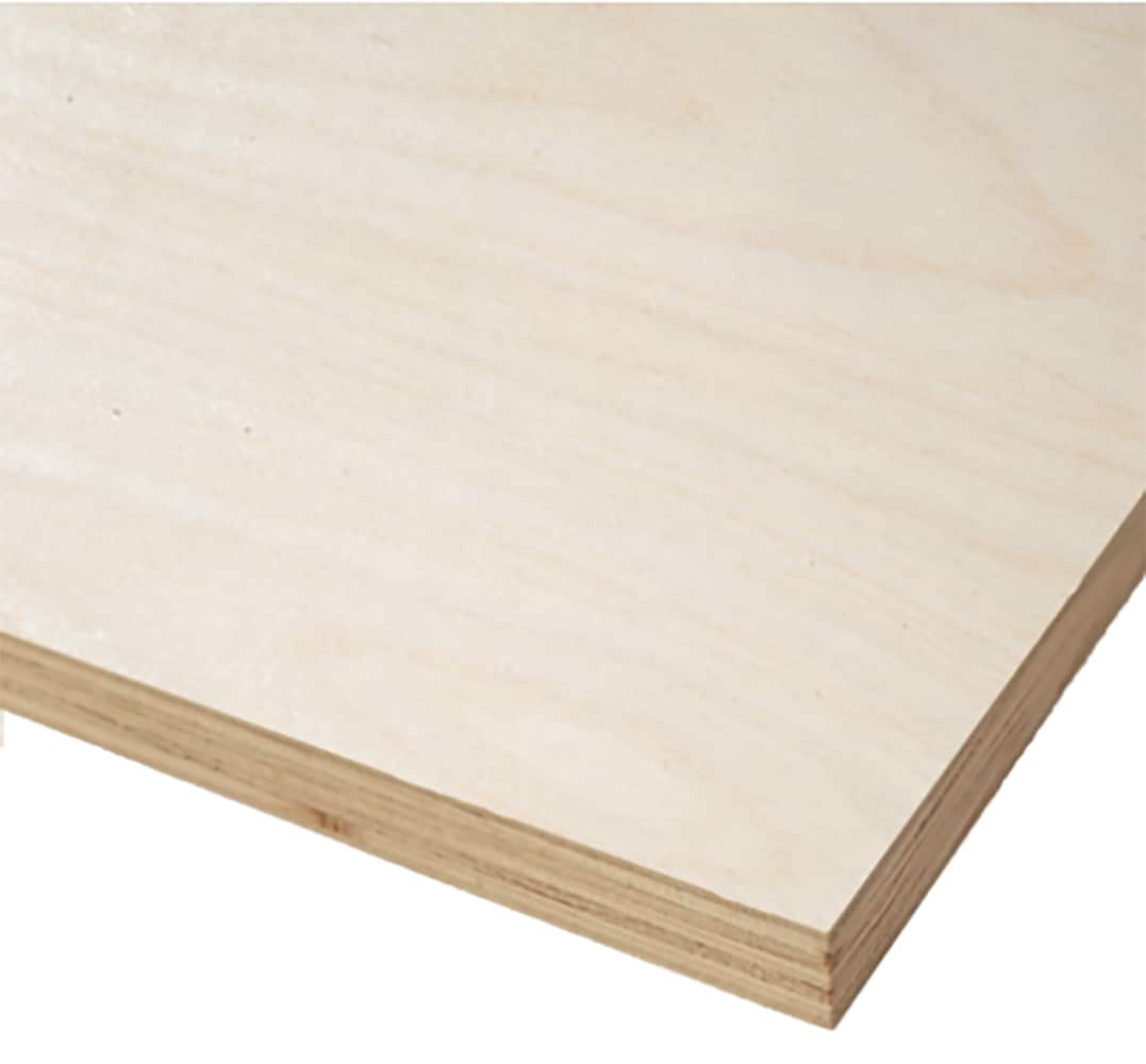  673980 4-ft x 8-ft Birch