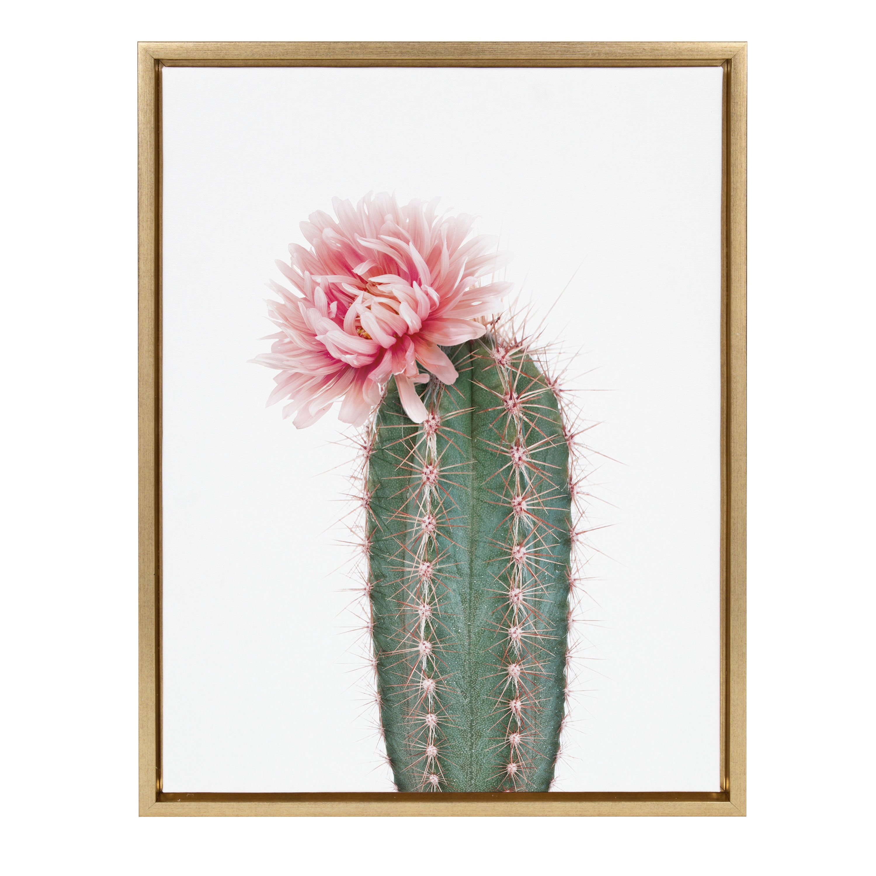 Luxury Flower Cactus Float 