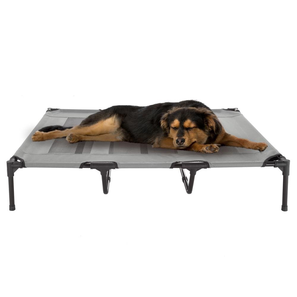 PawHut 44 Cooling Elevated Dog Bed, Foldable Raised Pet Cot, with Breathable Mesh, Indoor Outdoor Use, for Small & Medium Dog, Black