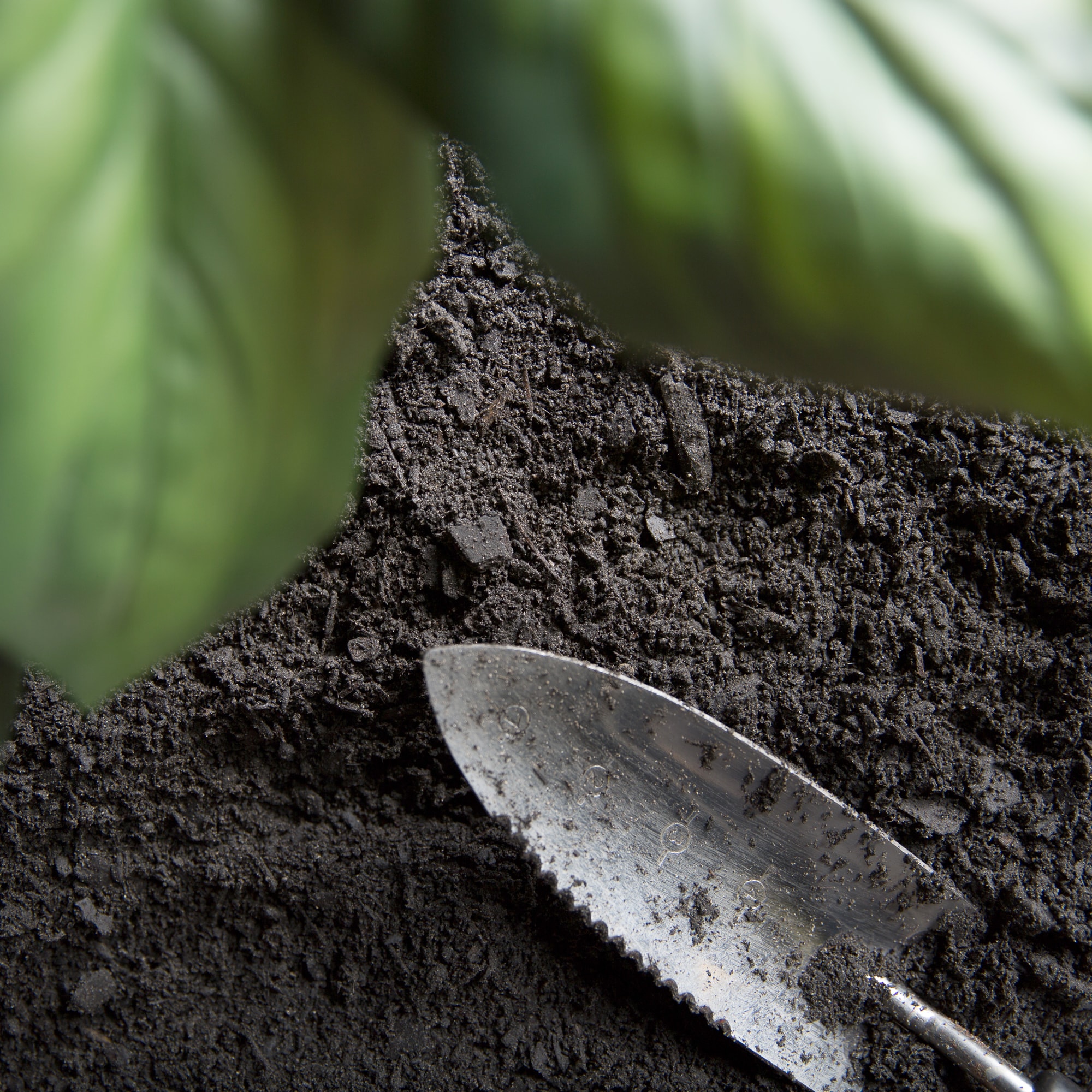  4272 Garden-Soil-Soil-Amendments - View #5