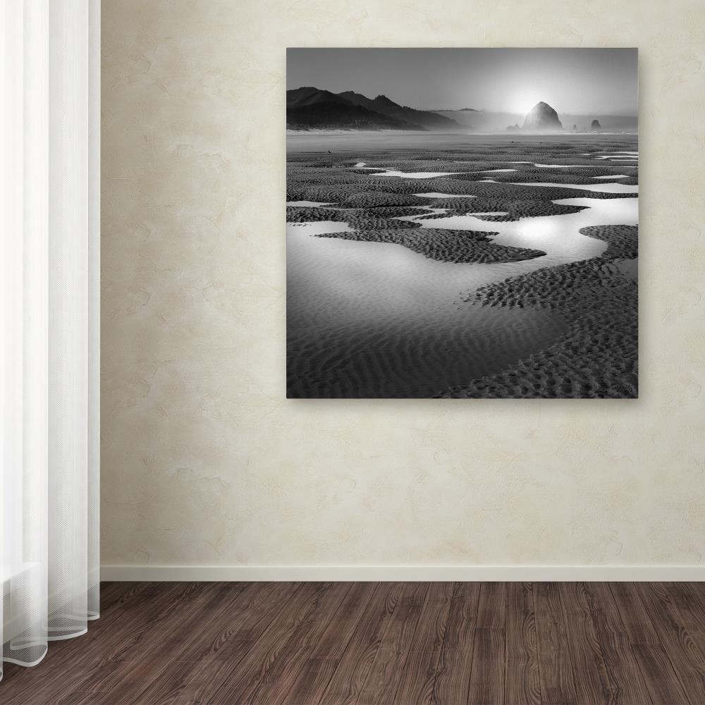 Trademark Fine Art ALI1059-C1818GG Wall-Art - View #3