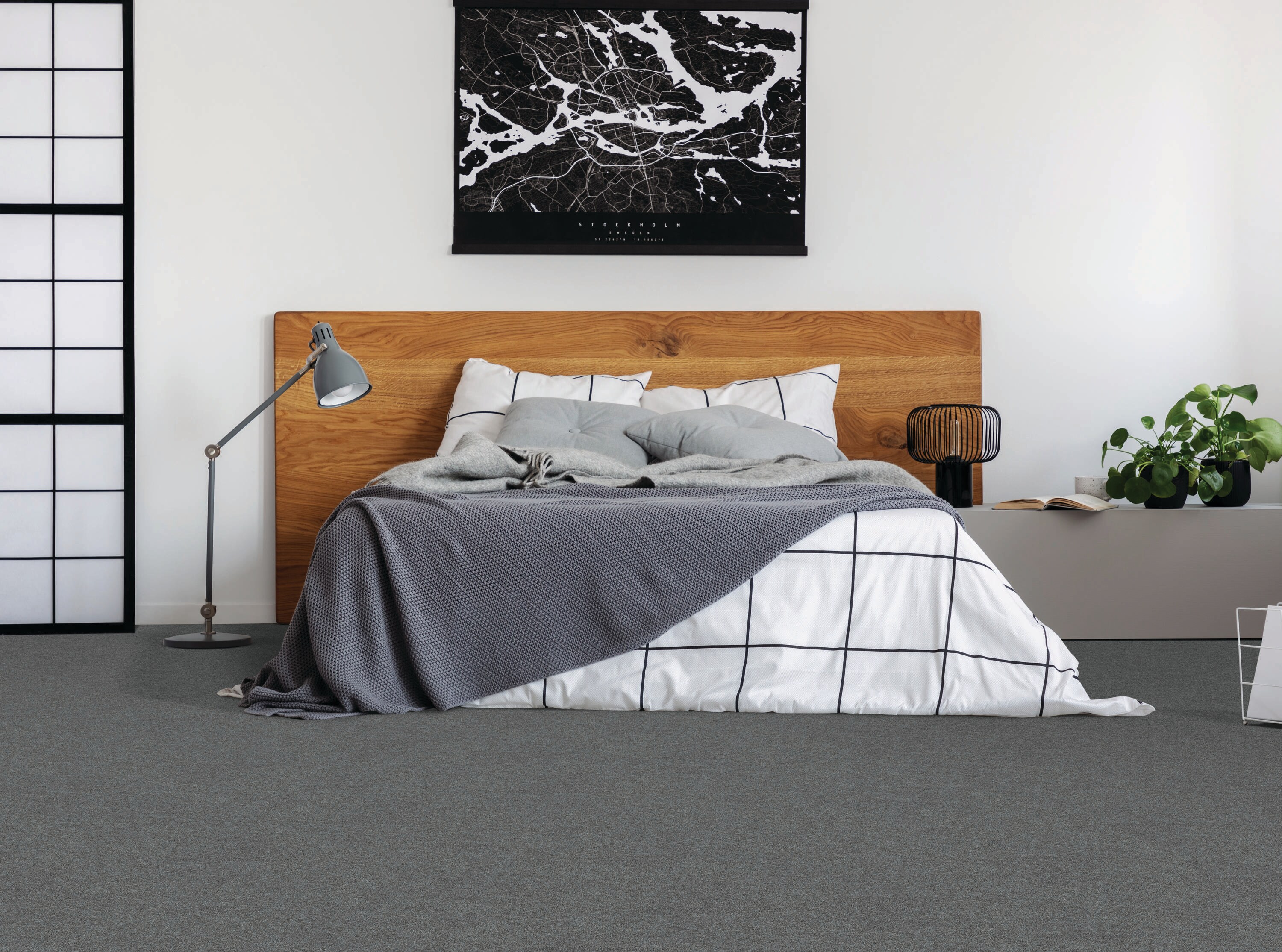 STAINMASTER LU481-9513H Carpet-Samples - View #3