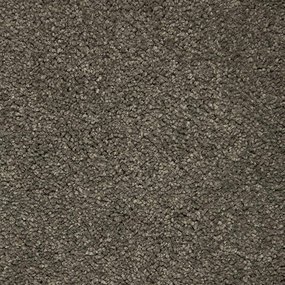 STAINMASTER PetProtect STP56-L019-0808 (Sample) Pawfection Viking Grey Gray 70-oz sq yard Triexta Textured Indoor Carpet