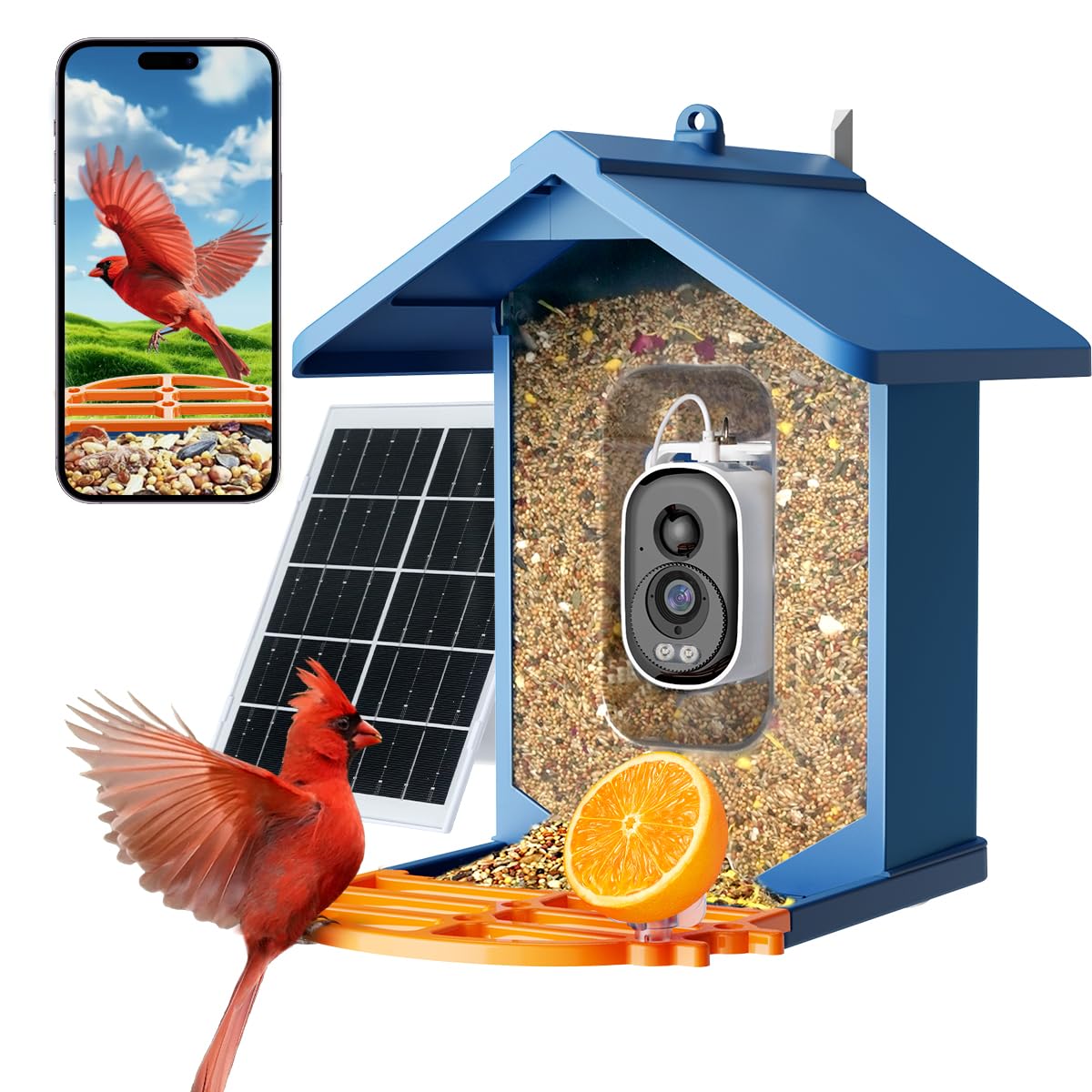 Afoxsos bird feeder with camera 2.5K HD live video AI bird identifier 5MP photos 7W solar powered WiFi mountable 67oz seed bin 1 Piece