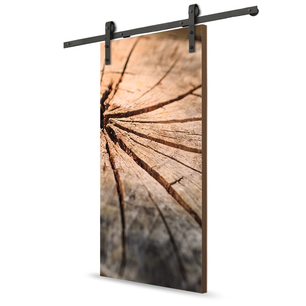 CALHOME S11MK72+ART-12-80X18 Barn-Doors - View #3