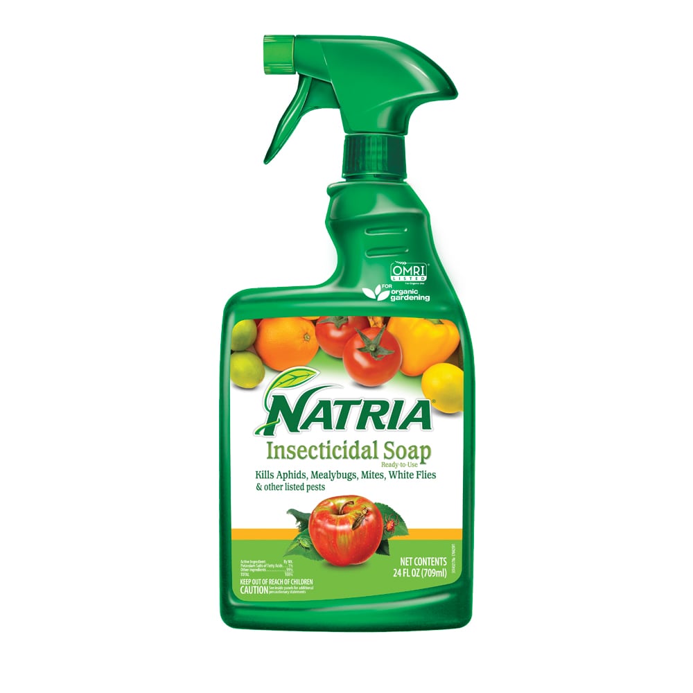 Natria 706230 24-fl oz Insecticidal Soap Garden Insect Killer Trigger Spray