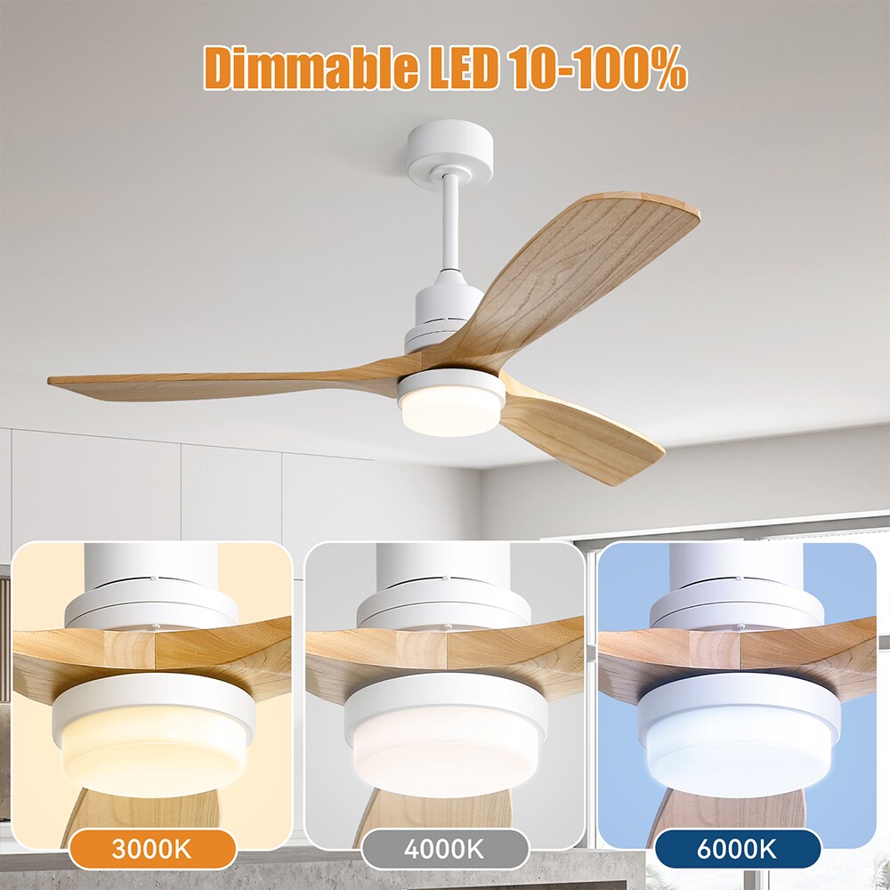 Sofucor LW-5247-WH-DC-YM Ceiling-Fans - View #13