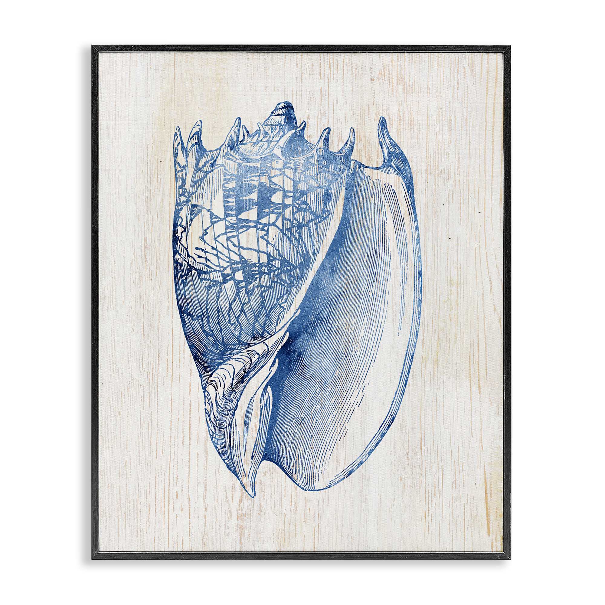 Stupell Industries BS-154-FR-24X30 Nautical Soft Blue Conch Black Framed Giclee Art By Susan Arnot 24 x 30
