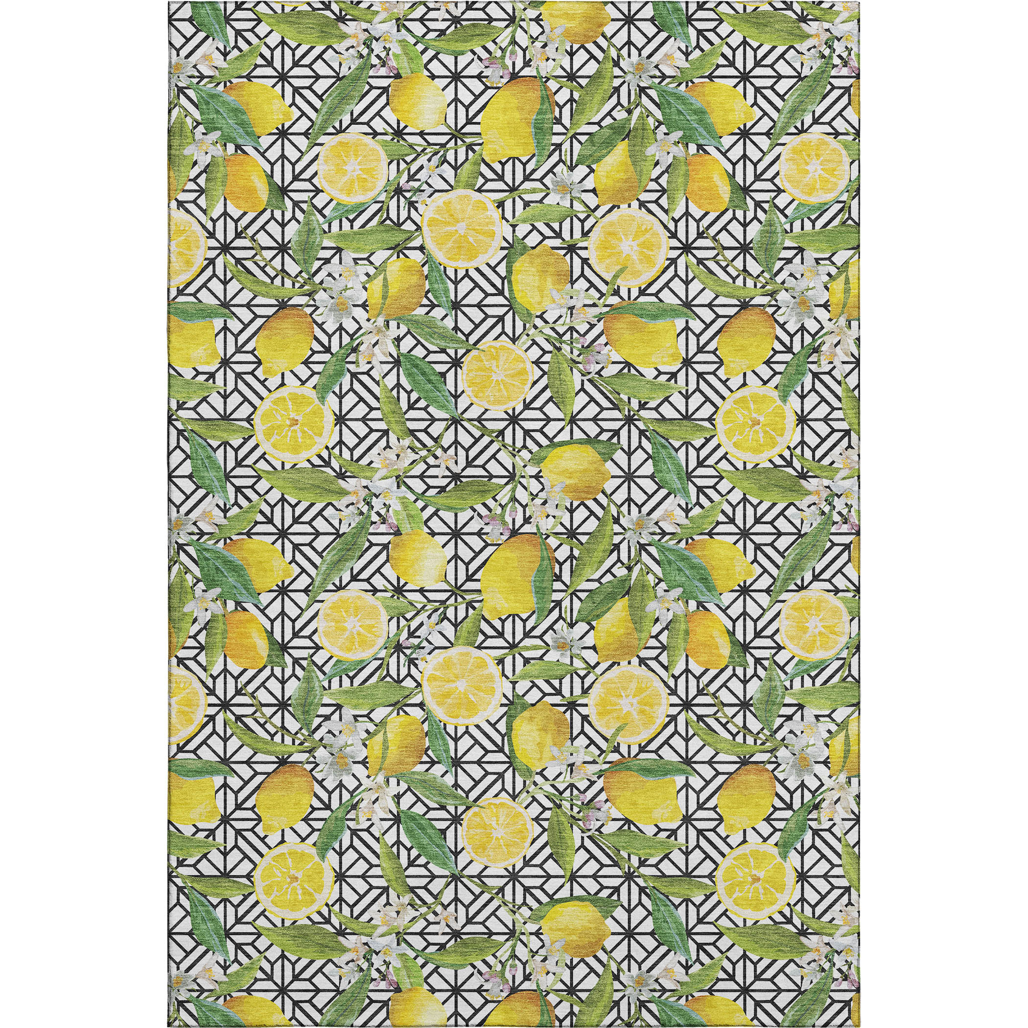 Addison Rugs AMF160YE30X46 rugs - View #2