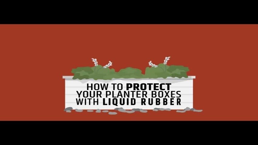 A thumbnail for the video