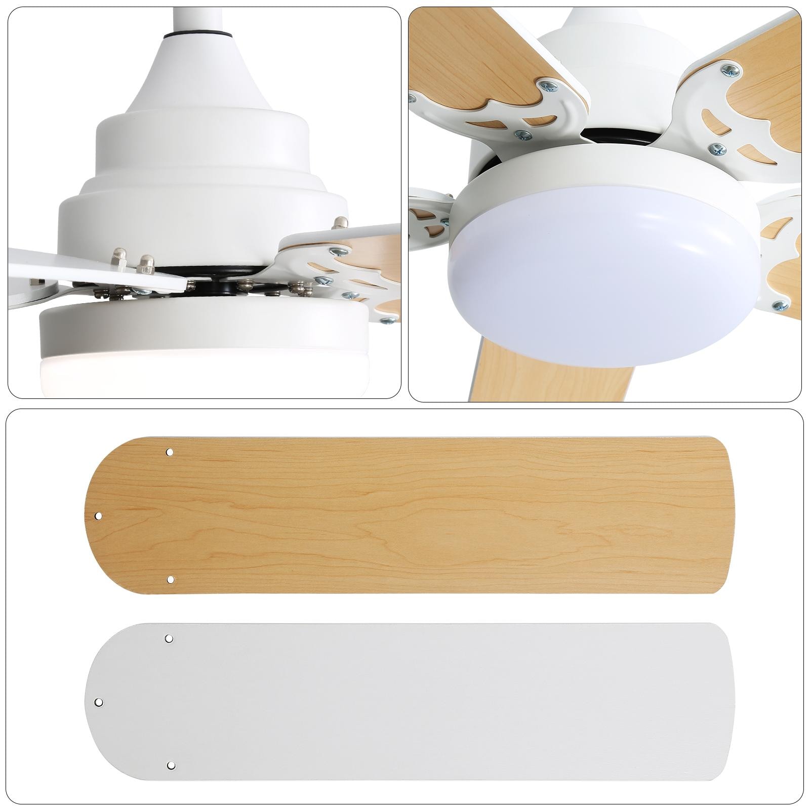 Bayfeve BFKS-64332-CF Ceiling-Fans - View #4