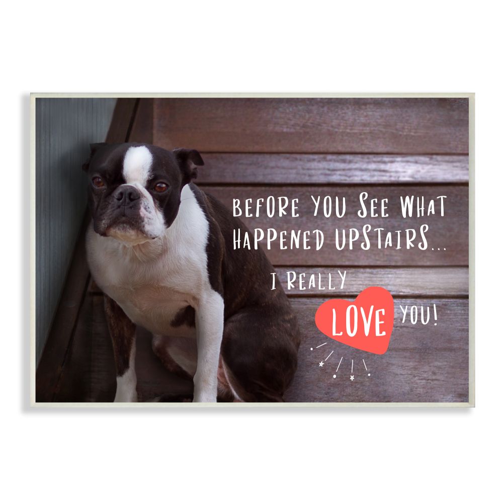 Stupell Industries Bad dog apology family pet humor boston terrier 15-in H  x 10-in W Animals Print in the Wall Art department at Lowes.com