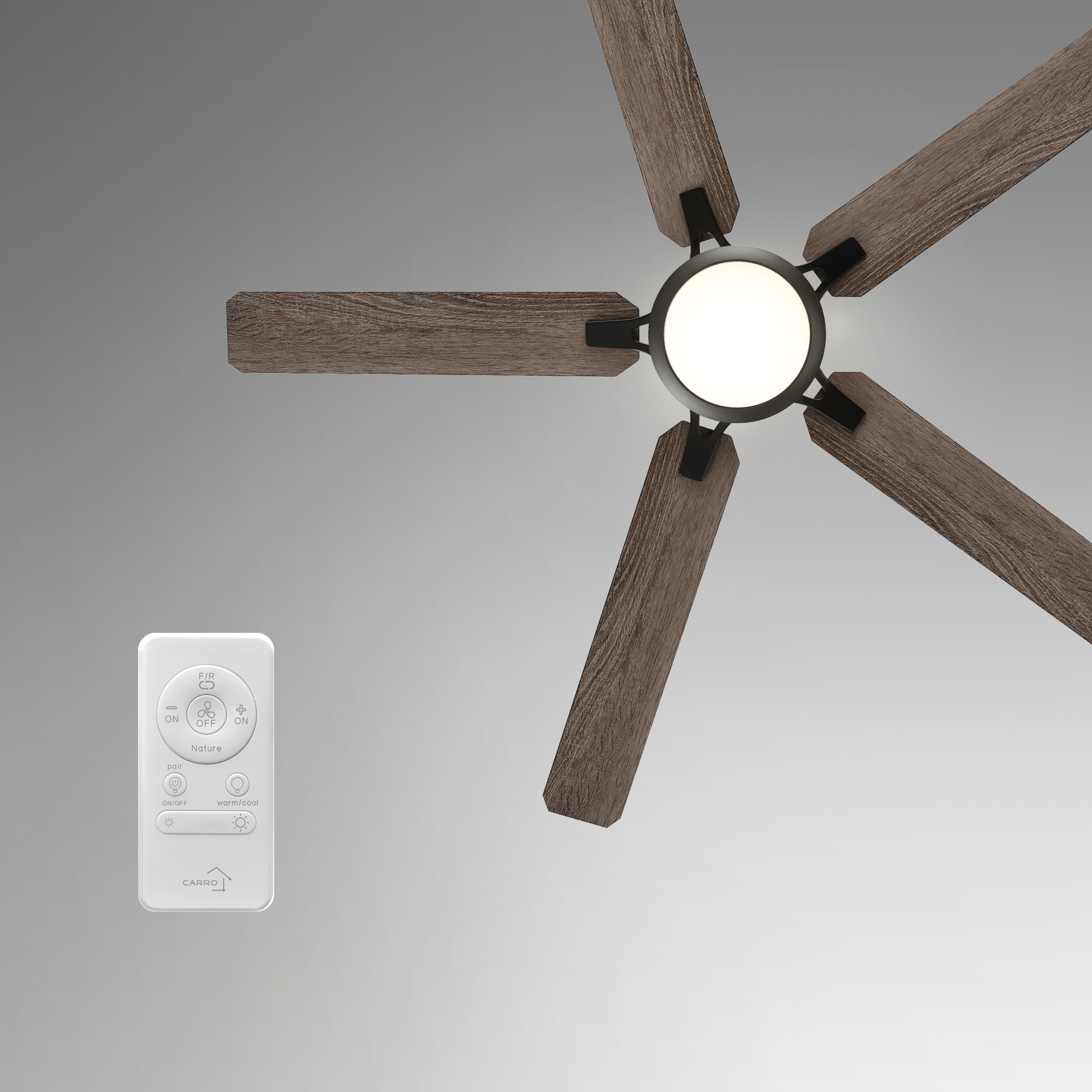 CARRO USA LYDC525J-L11-BG-1-FM Ceiling-Fans - View #3