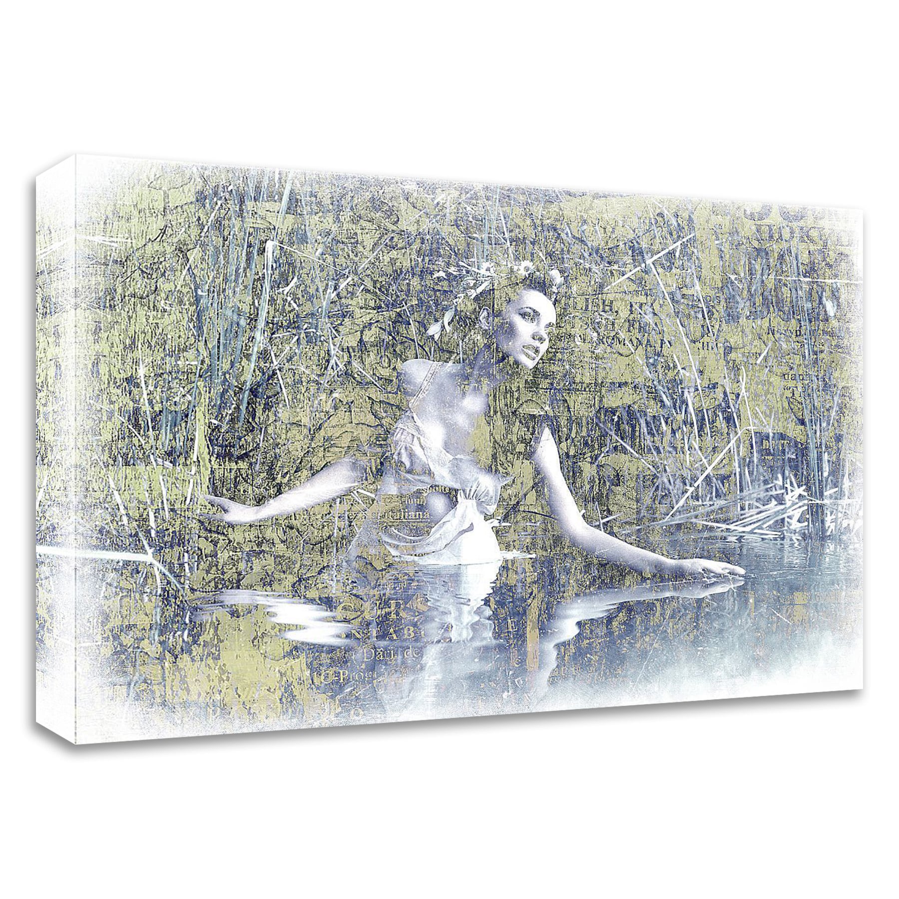 Tangletown Fine Art 8IN31812C-2115 Swan Lake Graphinc 15-in H x 21-in W Figurative Print on Canvas