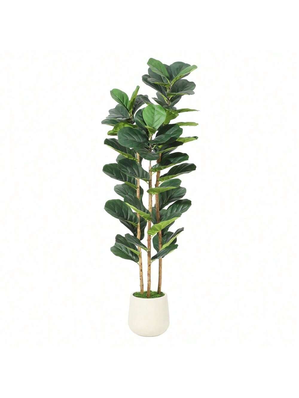 Qeetex PHO-34HX48UC-HF3 Decorative-Accessories - View #2