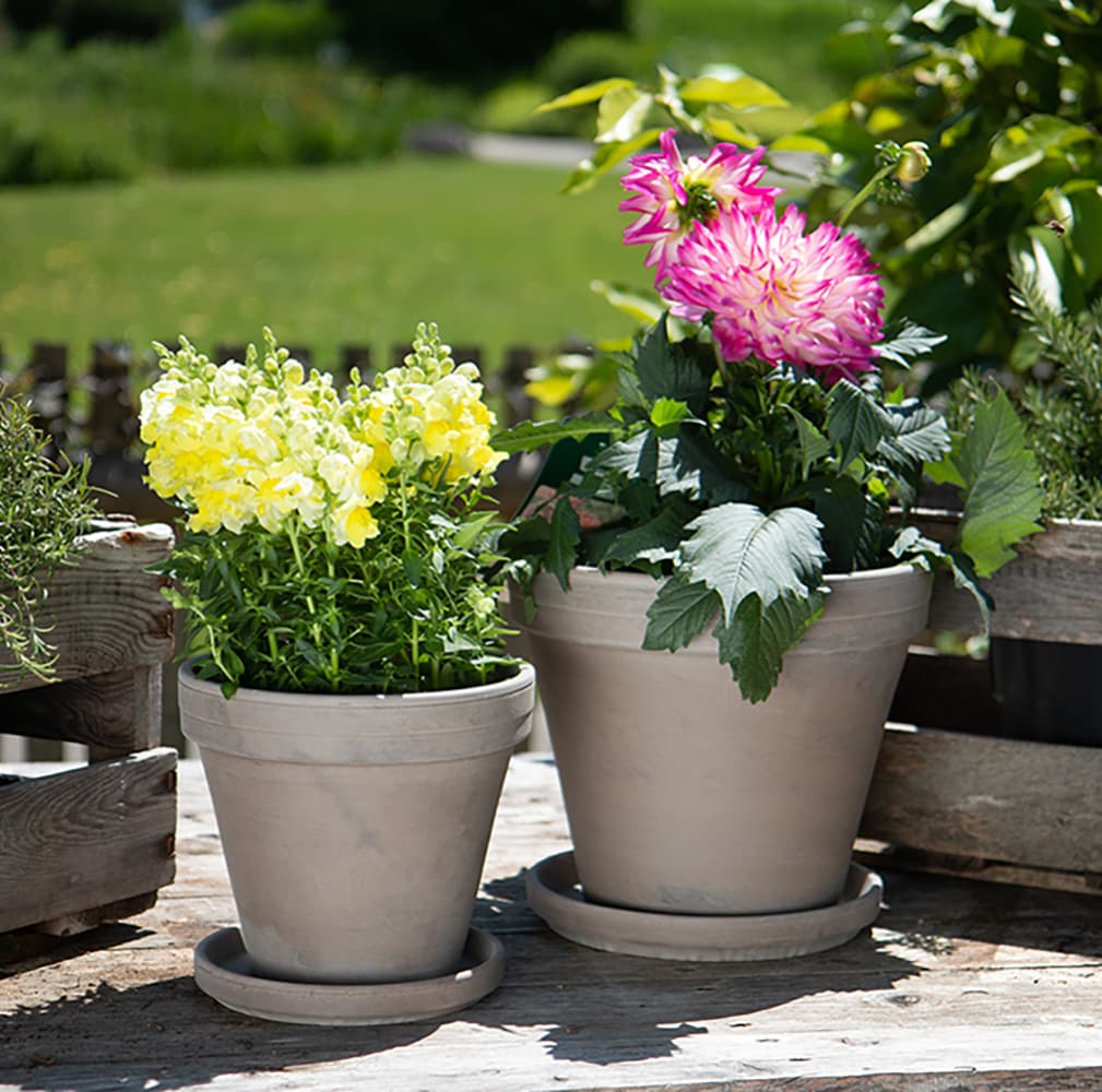  805085 Planter-Window-Box - View #2
