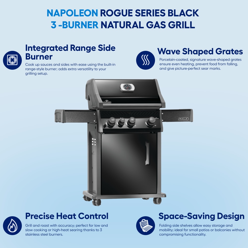NAPOLEON R425SBPK-2-FB Gas-Grill - View #2
