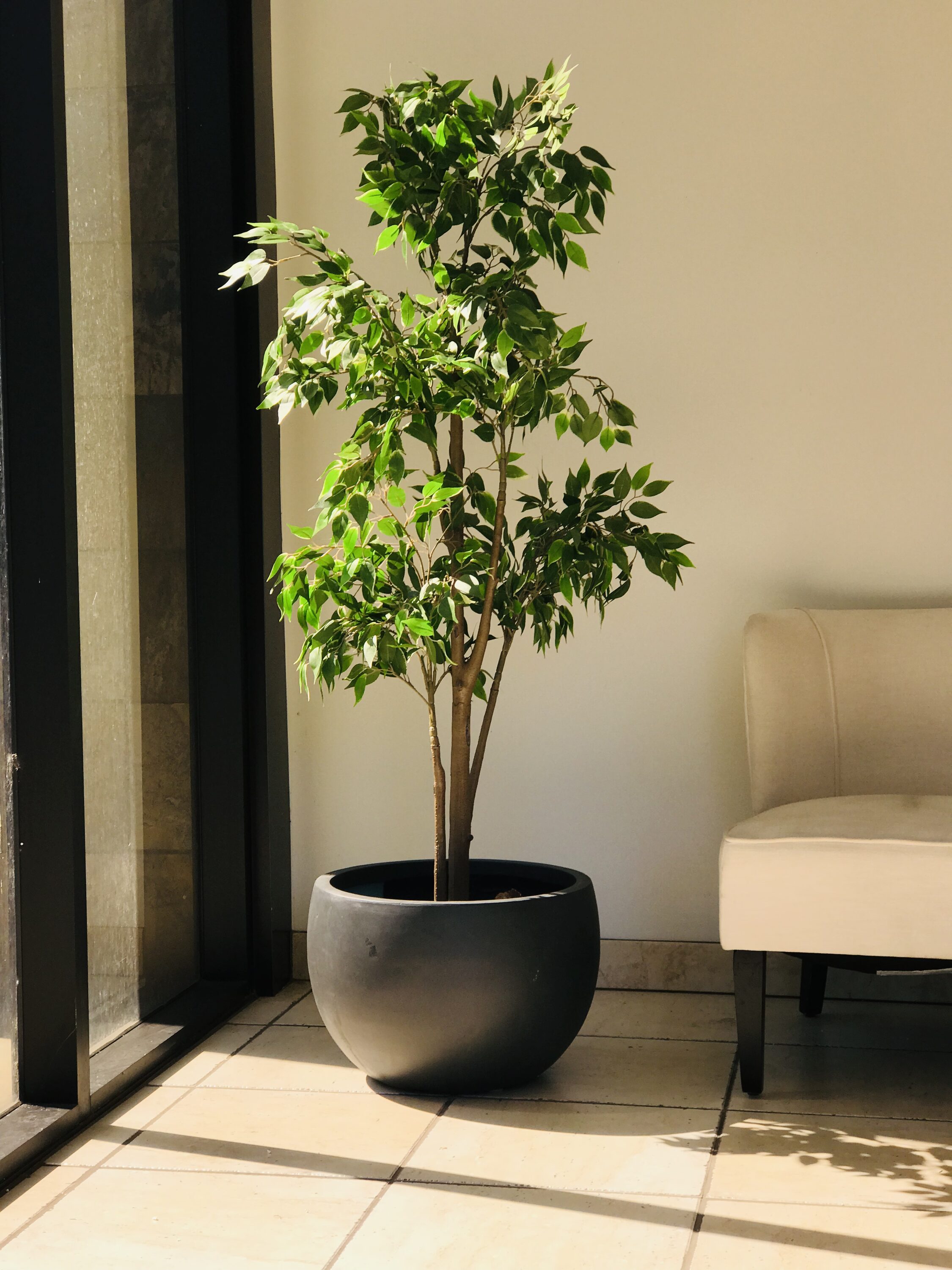 KANTE RC0049C-C60121 Planter-Window-Box - View #6