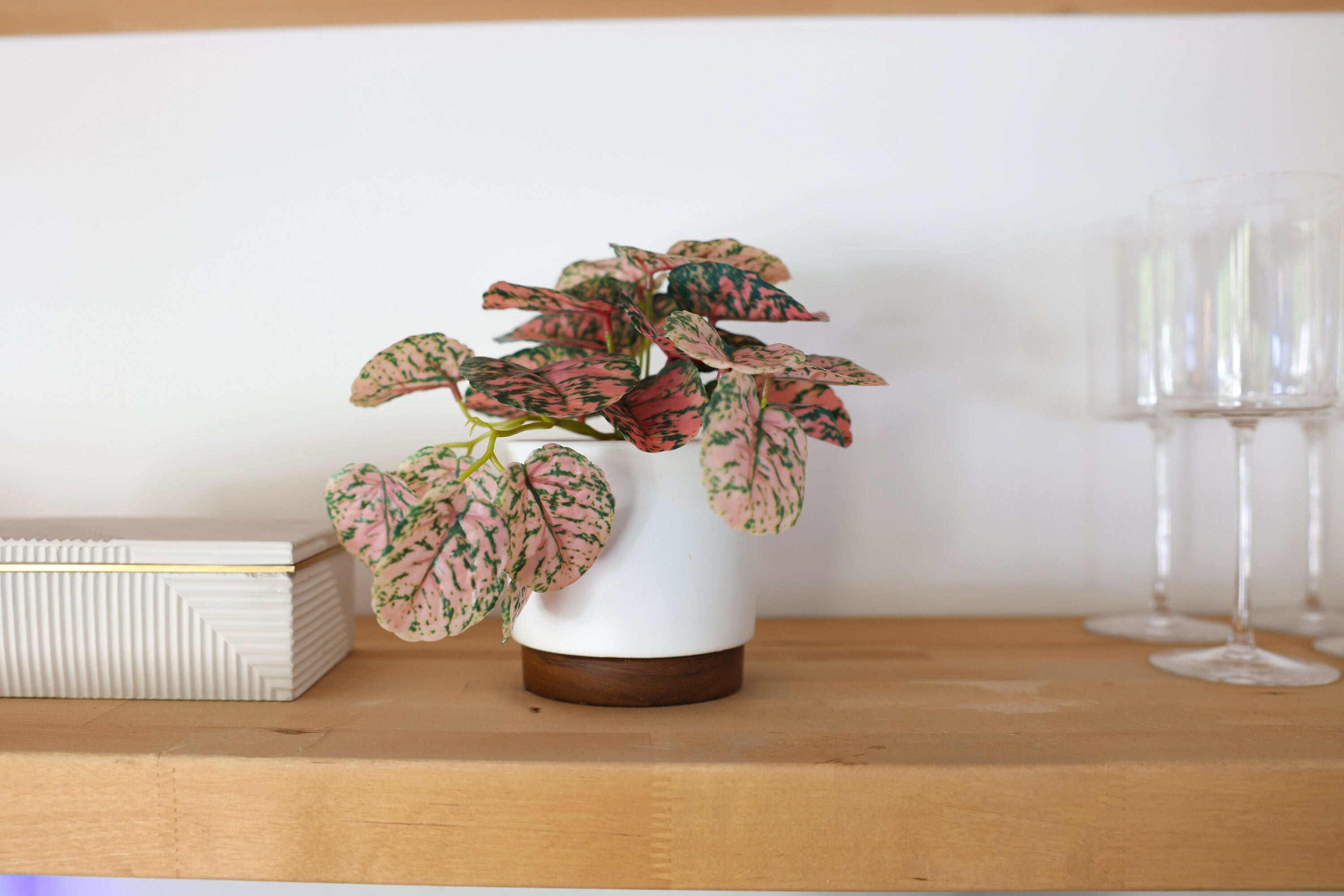 Flora Bunda CS8094E-MTWH 10-in Matte White Indoor/Outdoor Desktop Aglaonema Artificial plant