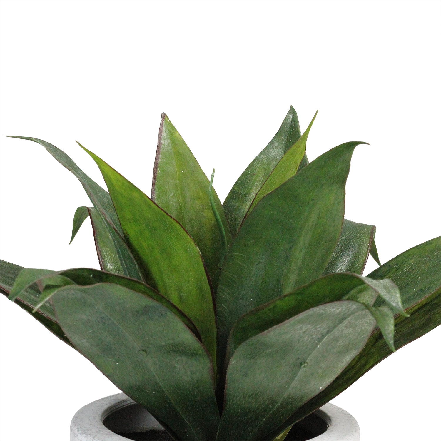 Northlight 32556439 Artificial-Plants-Trees - View #4