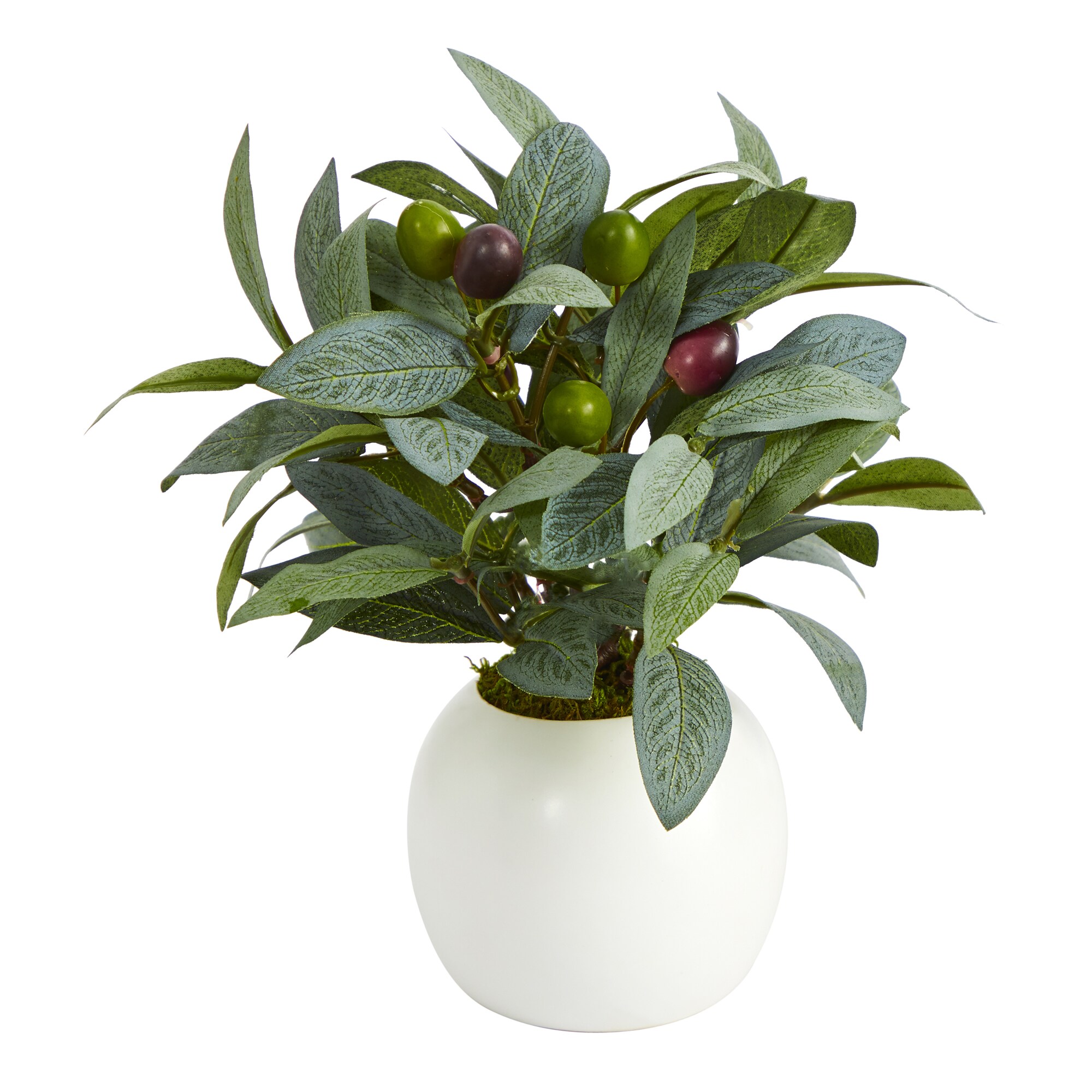 Nearly Natural 9 In Green Indoor Artificial Silk Artificial Plant In   41875032 