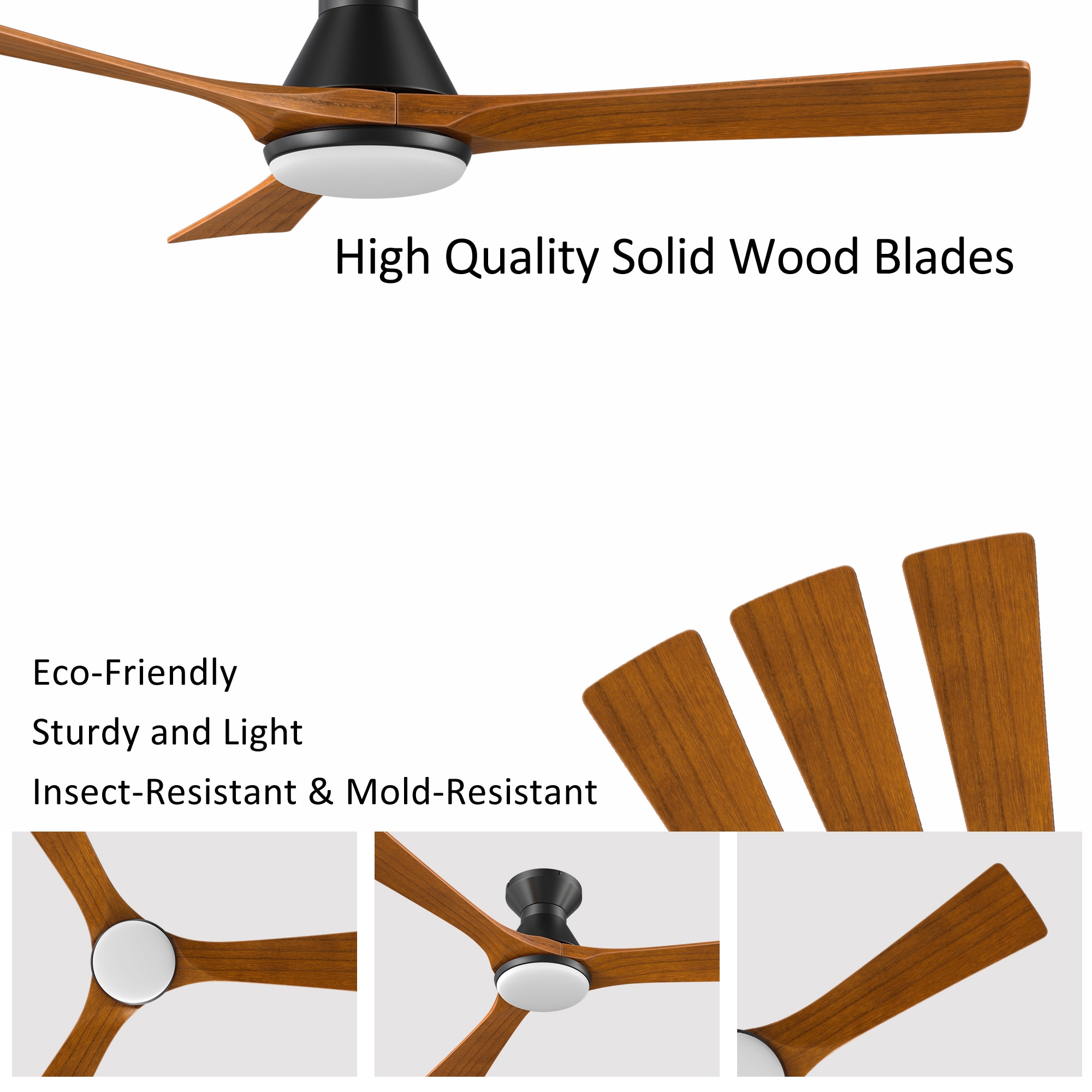 CARRO USA LS523A2-L12-BM2-1-FM Ceiling-Fans - View #10