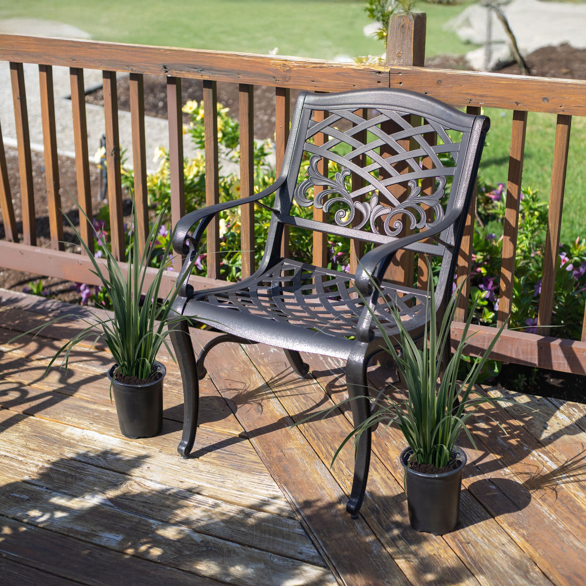 Costa Farms M-DIE-G-POT-02-LW shrubs - View #5