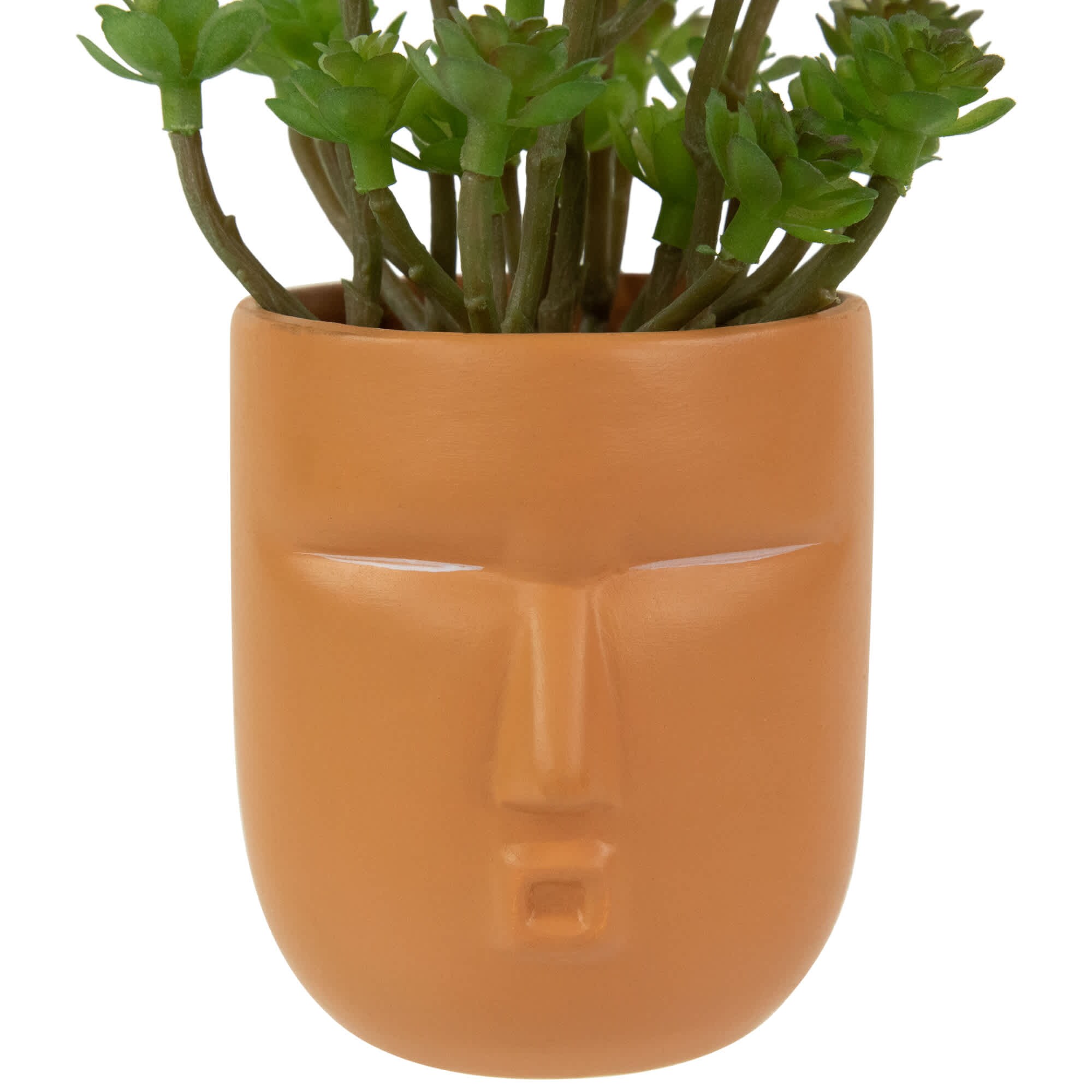 Northlight NORTHLIGHT HF94686 Artificial-Plants-Trees - View #4