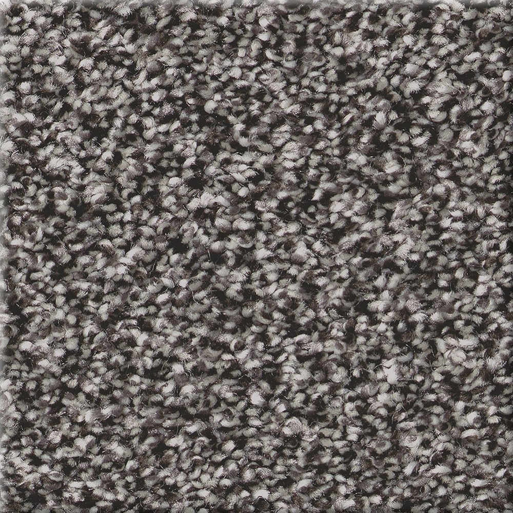 STAINMASTER PetProtect 7L93000568 with LeakDefense Pacific Charm I Knighthood Gray 58.5-oz sq yard Polyester Textured Indoor Carpet