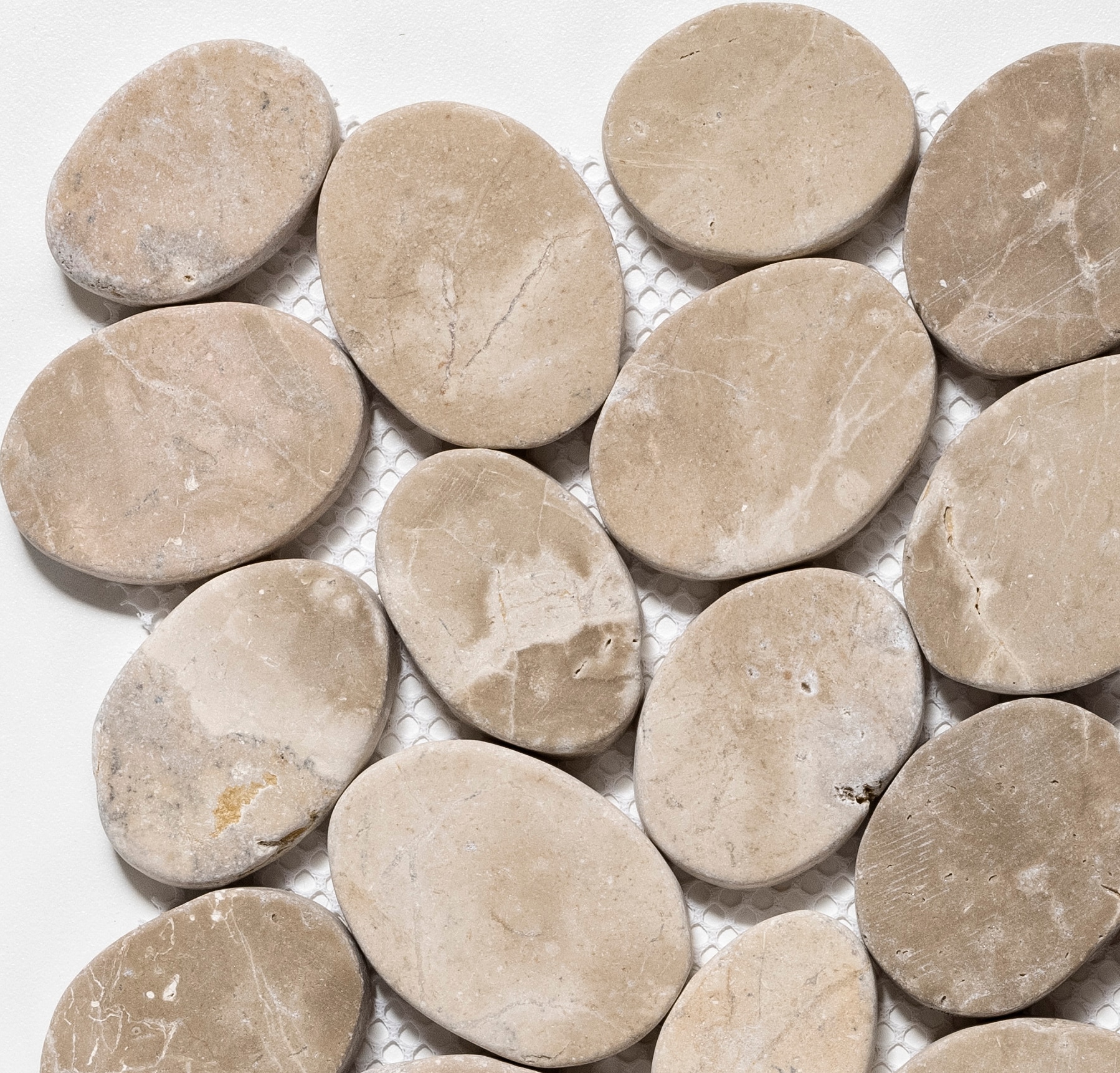 CRUZ BAY STUDIO ULSC5X7XC3RTN Sample - Coins Mosaic Tan 4-in x 6-in Tumbled Floor and Wall Tile
