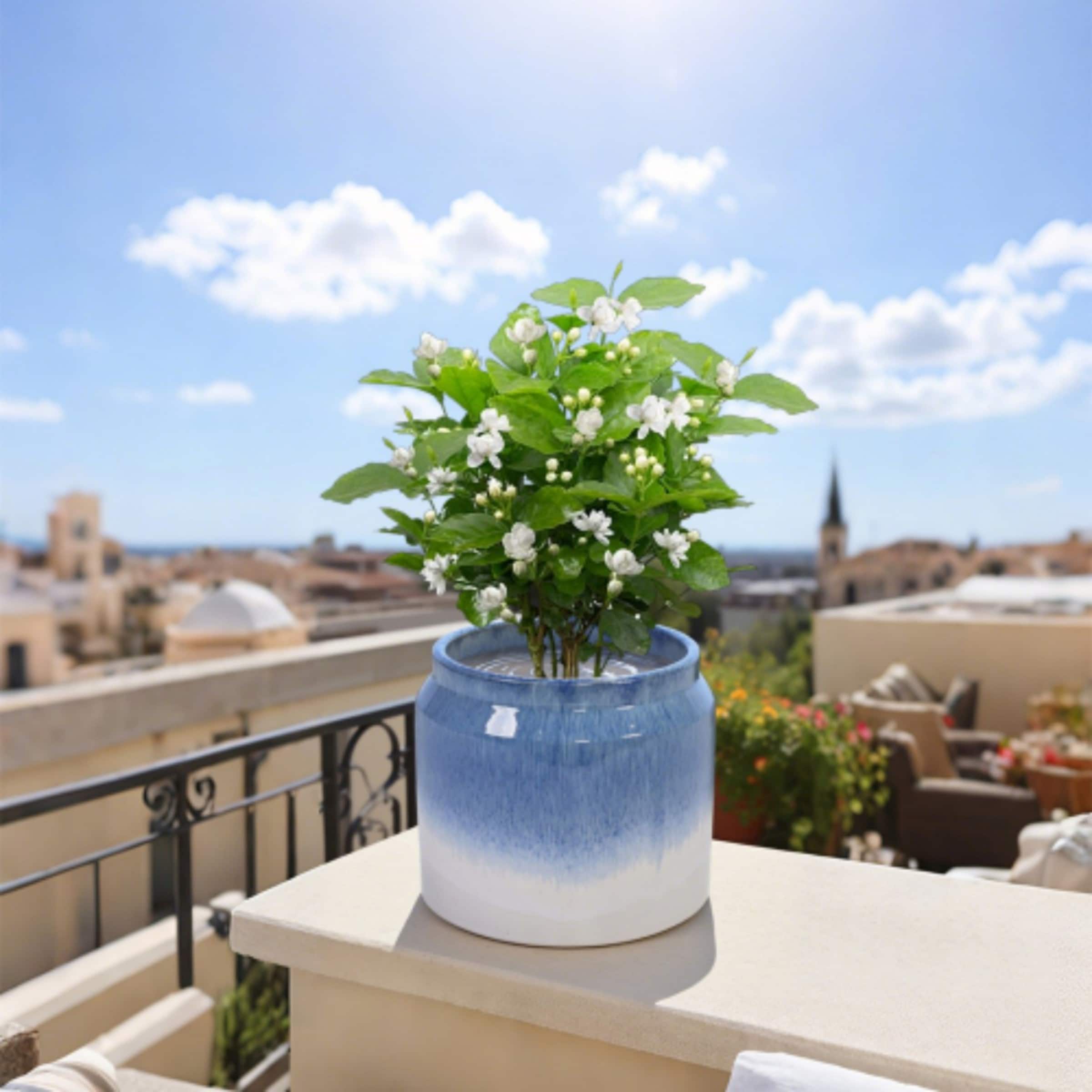 GlasFlength LOSM-PT-016 Planter-Window-Box - View #2