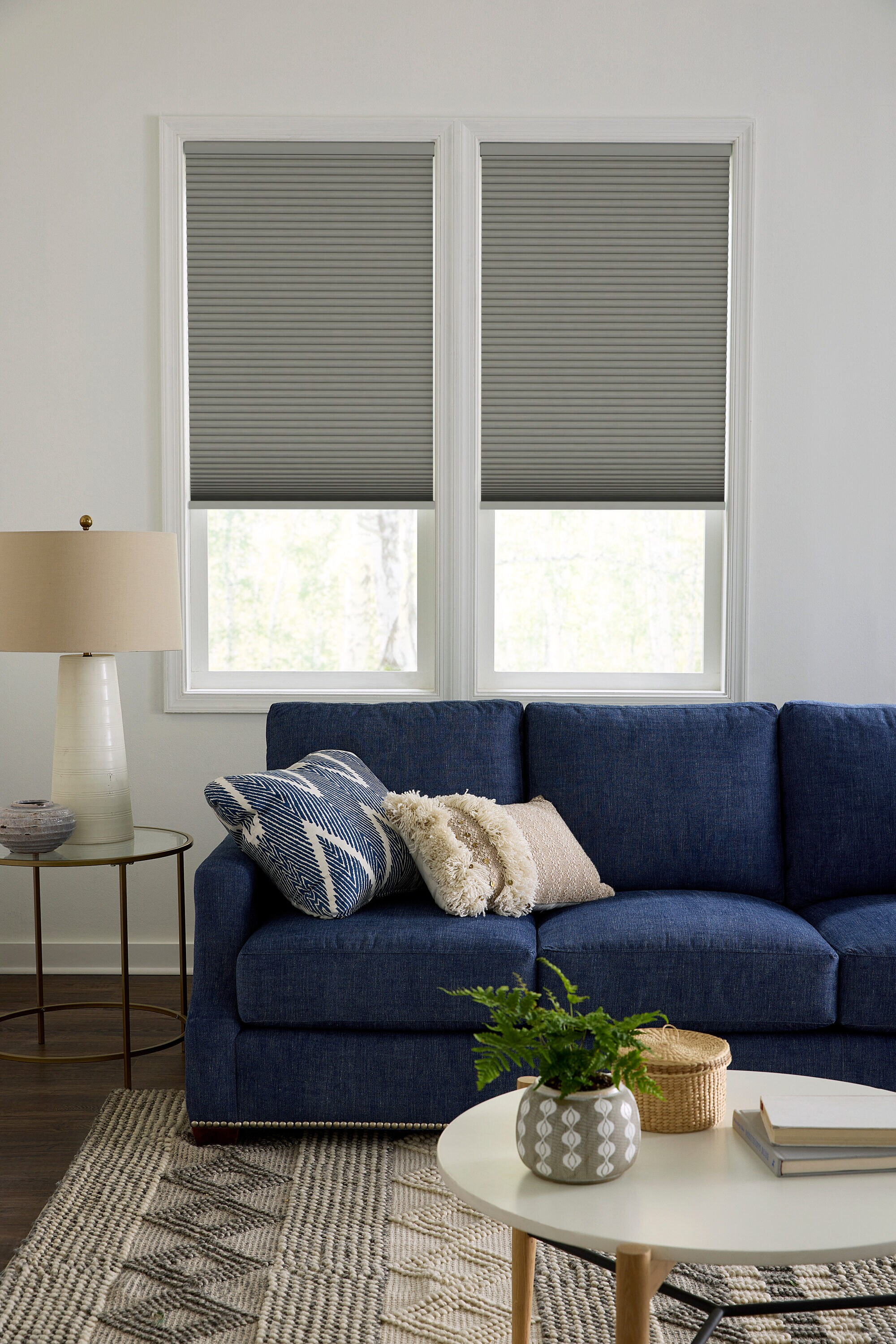 LEVOLOR 35-Inches x 72-Inches Graphite Blackout Cordless Cellular shade