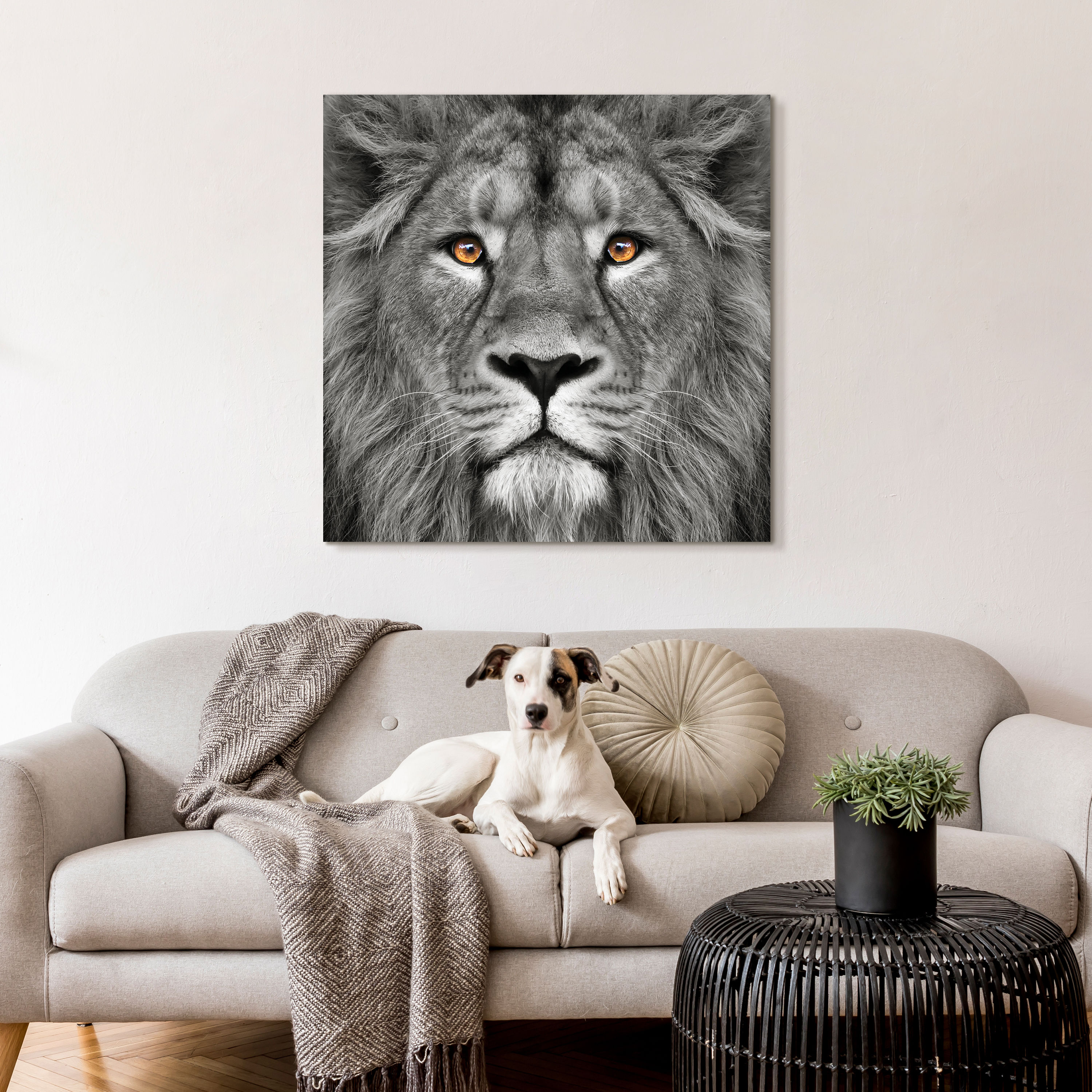 Empire Art Direct 38-in H x 38-in W Animals Glass Print in the Wall Art ...