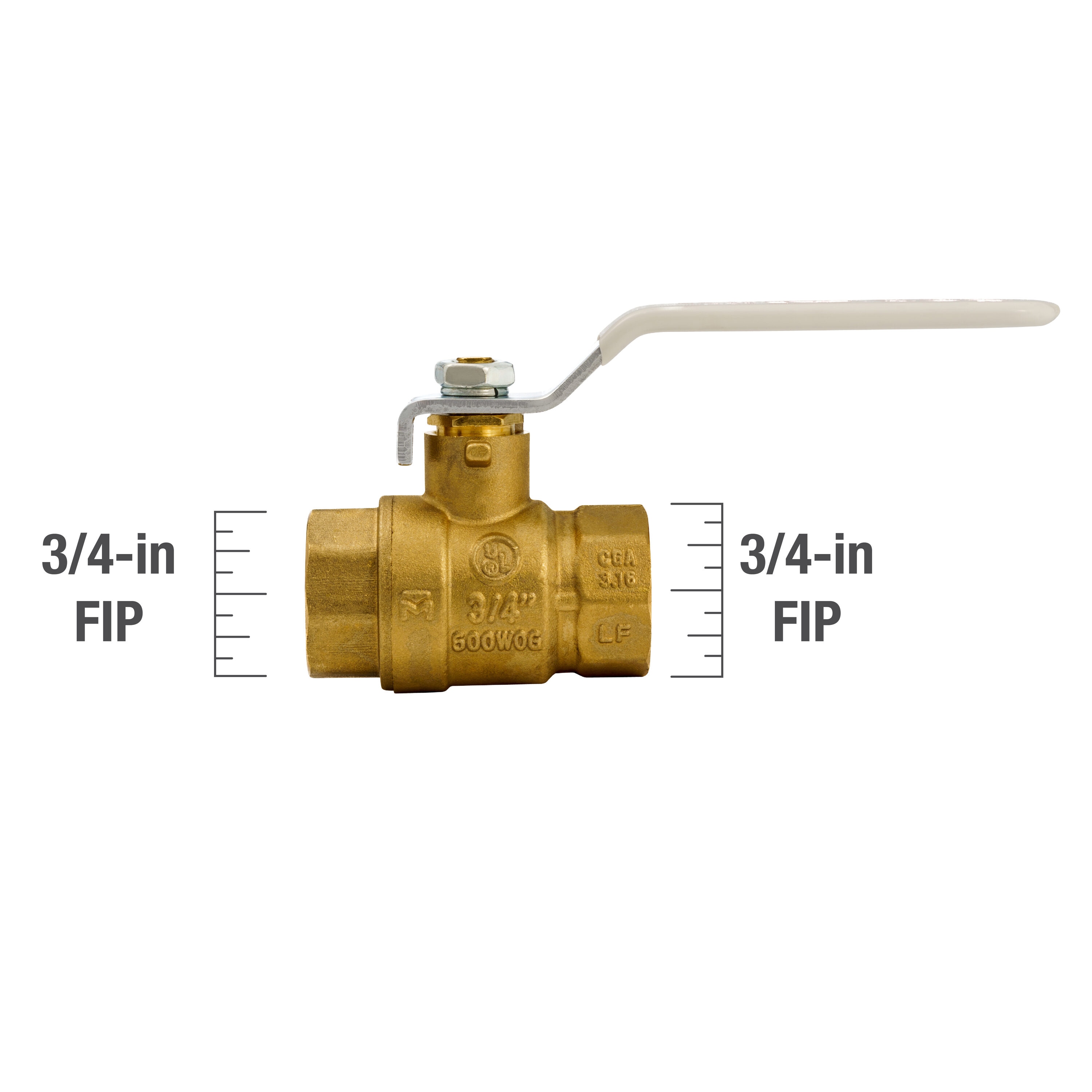 Proline Series 3/4-in x 3/4-in Threaded Male Adapter Nipple