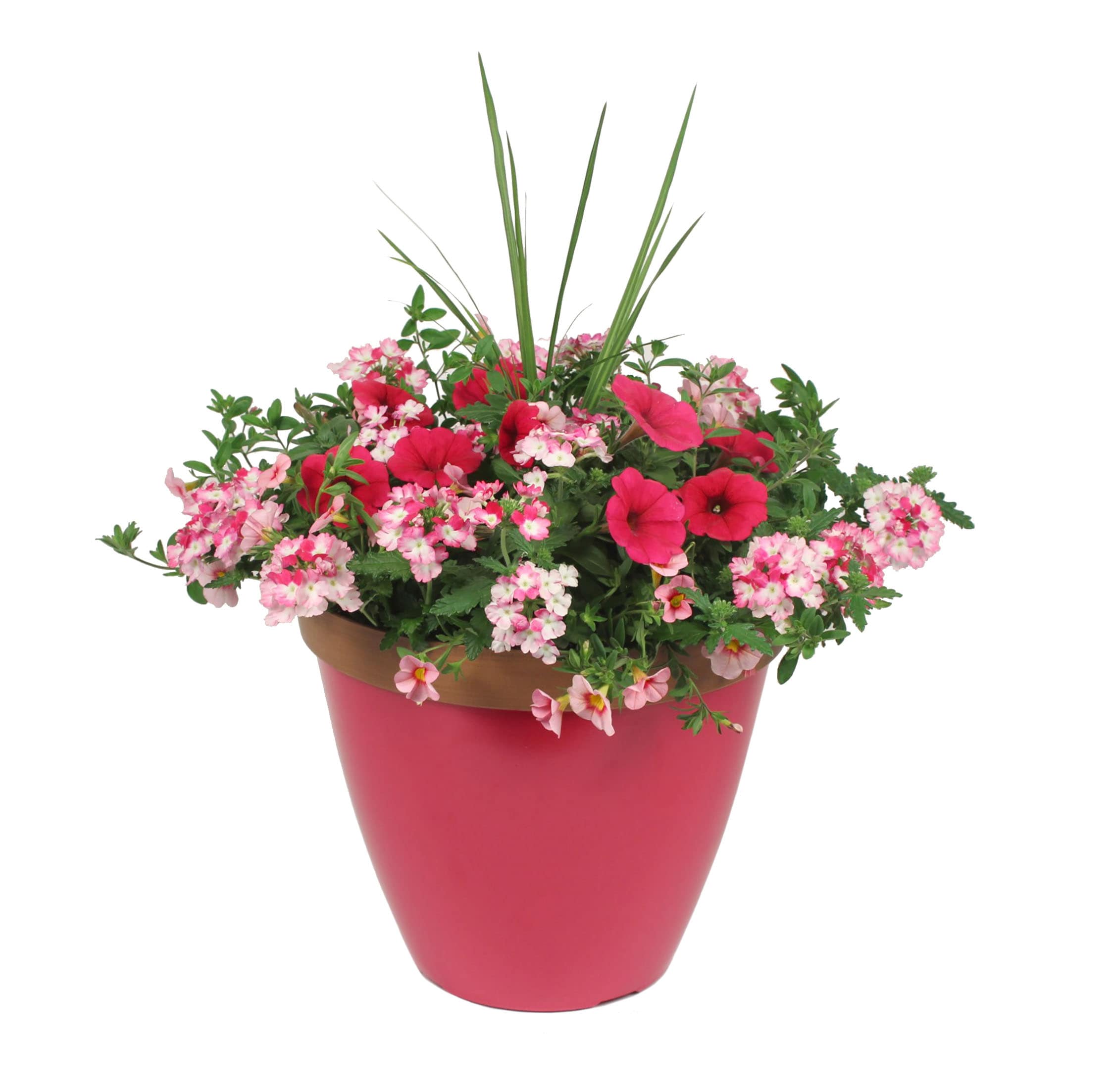 Lowe's NURSERY Multicolor Mixed Annuals Combinations in 3-Gallon Planter