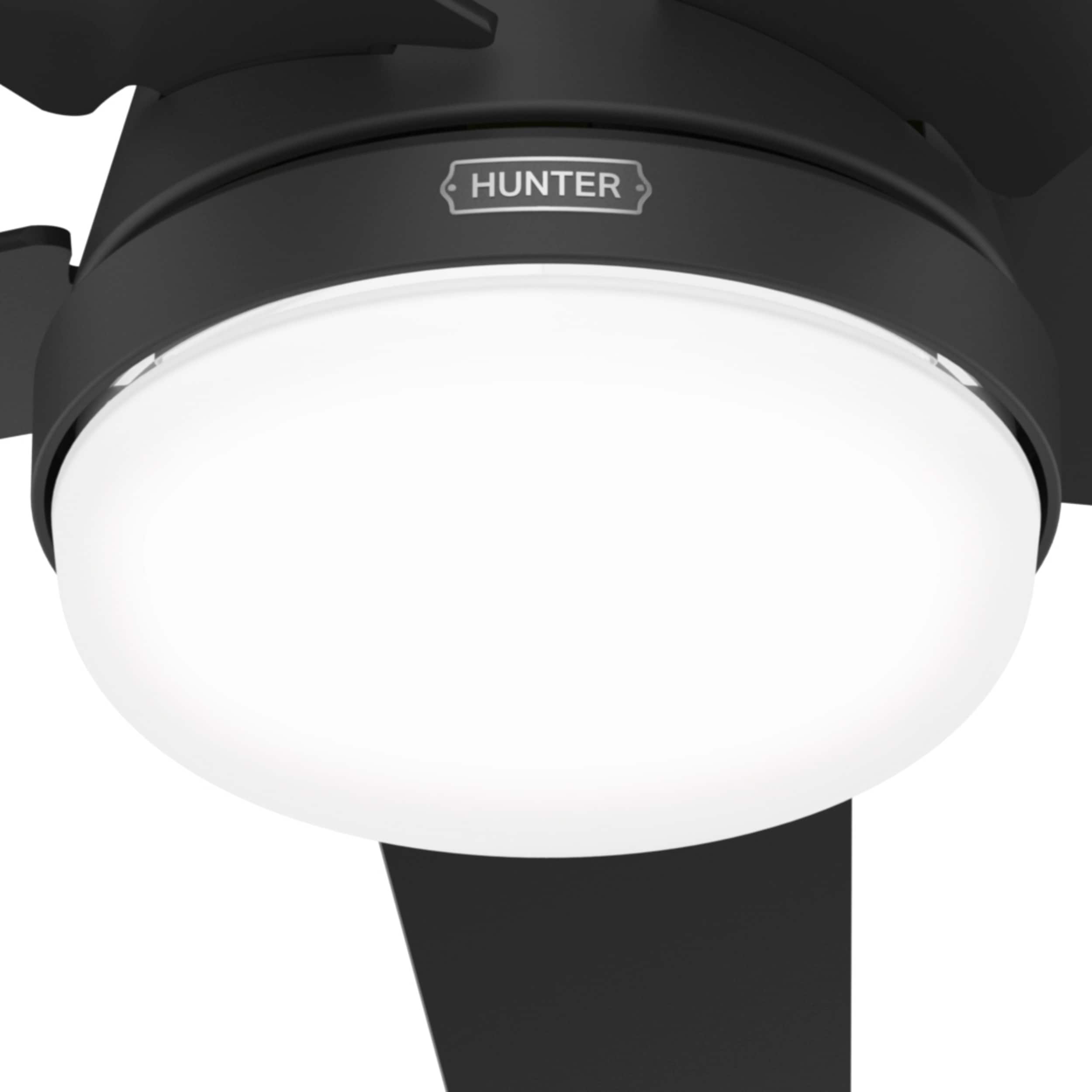 Hunter 51609 Ceiling-Fans - View #10